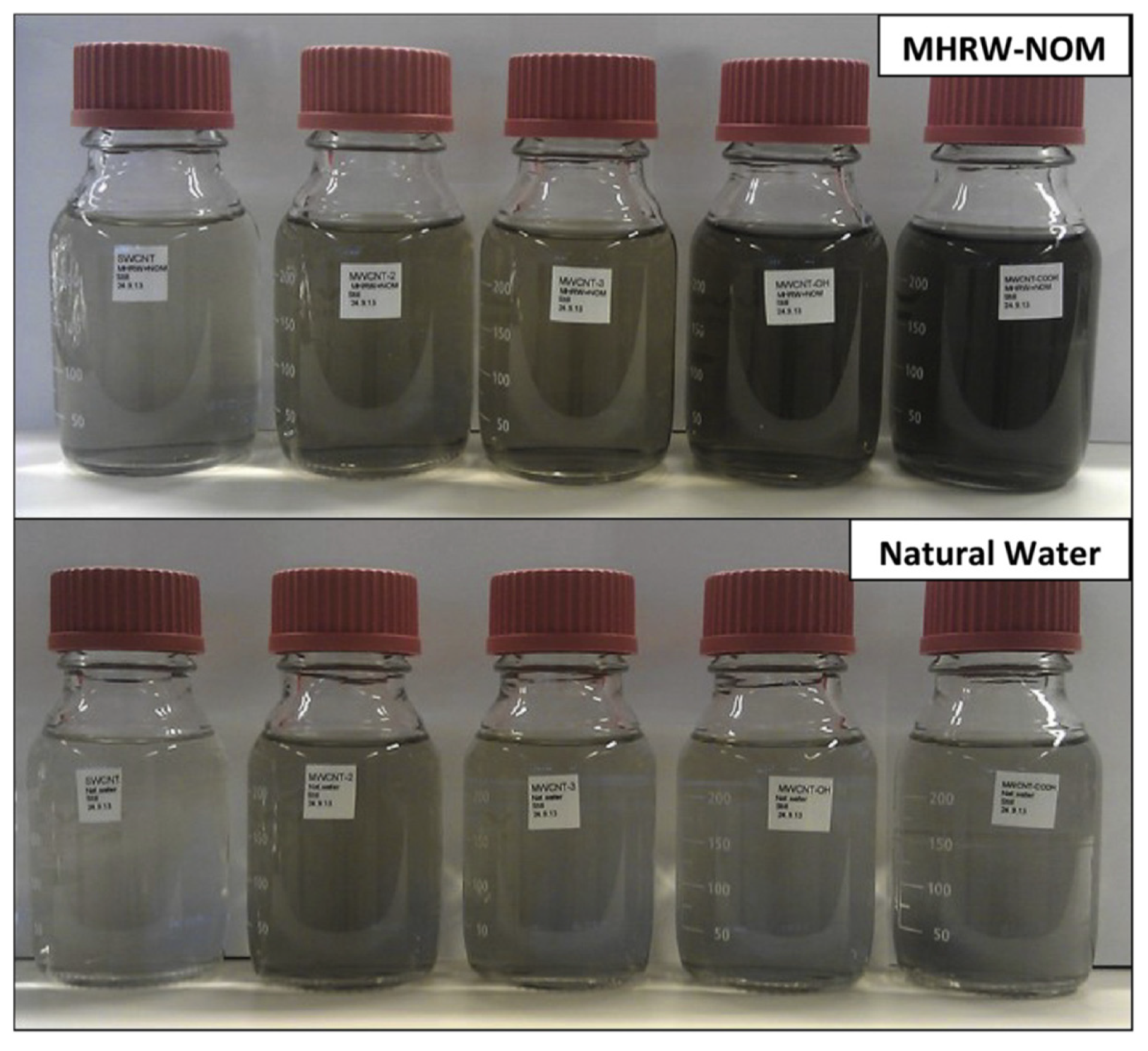 Nanomaterials 12 00552 g002