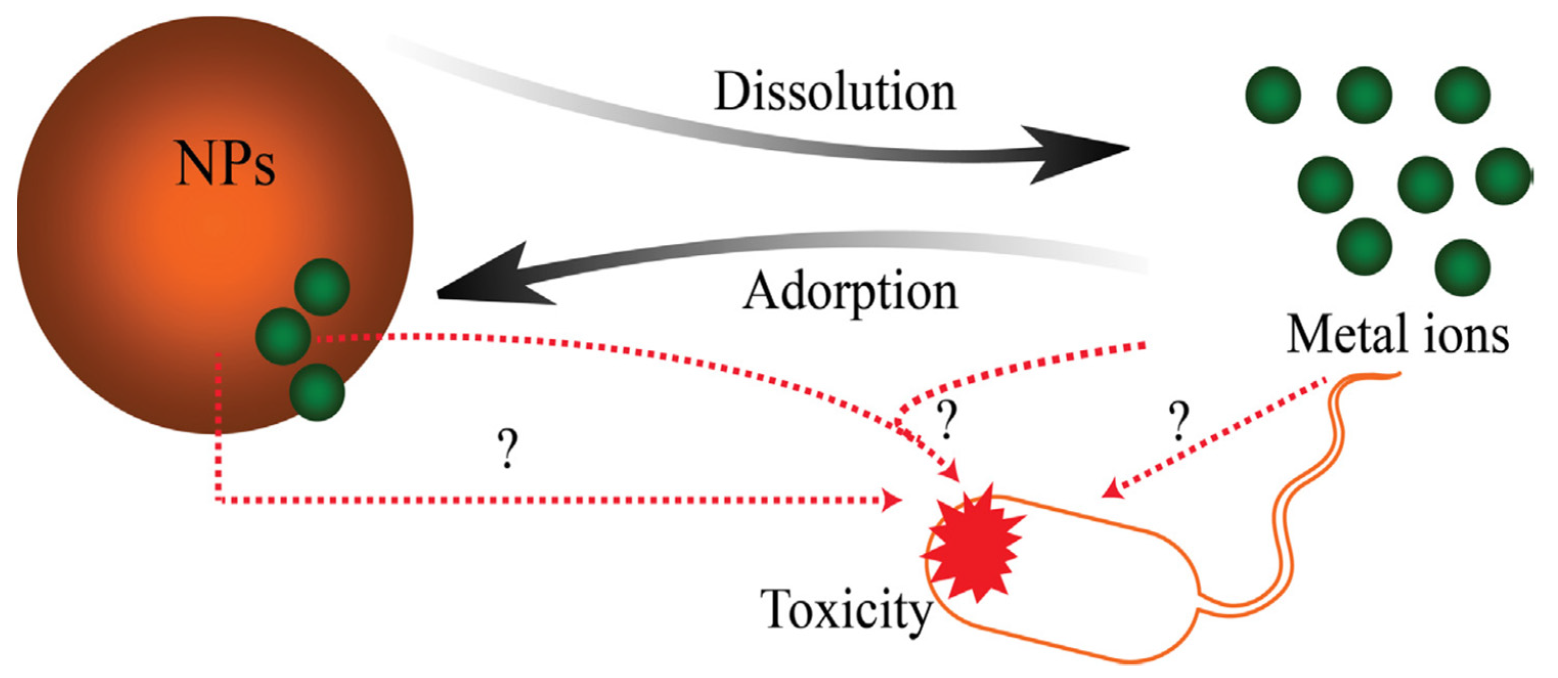 Nanomaterials 12 00552 g005