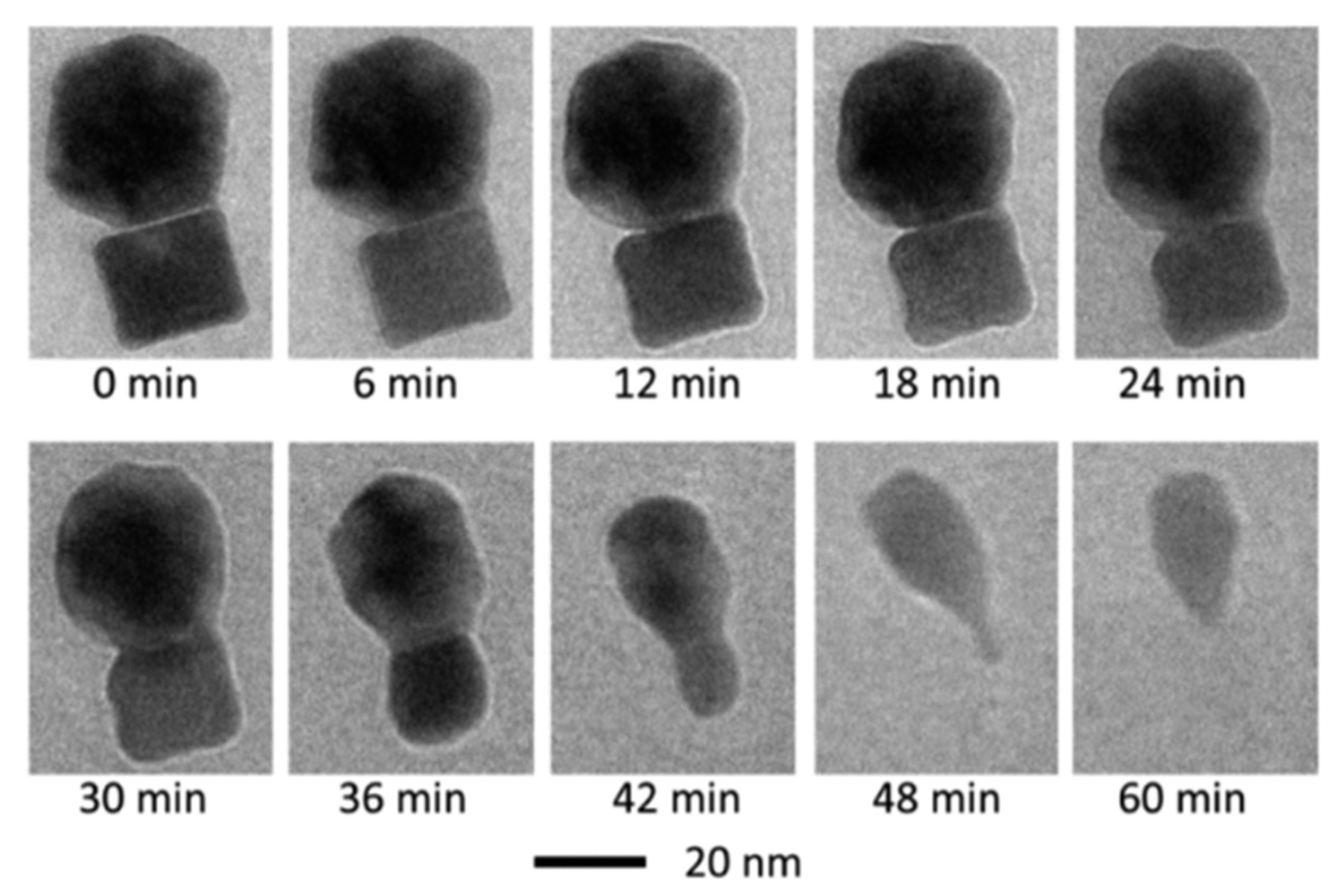 Nanomaterials 12 00552 g006