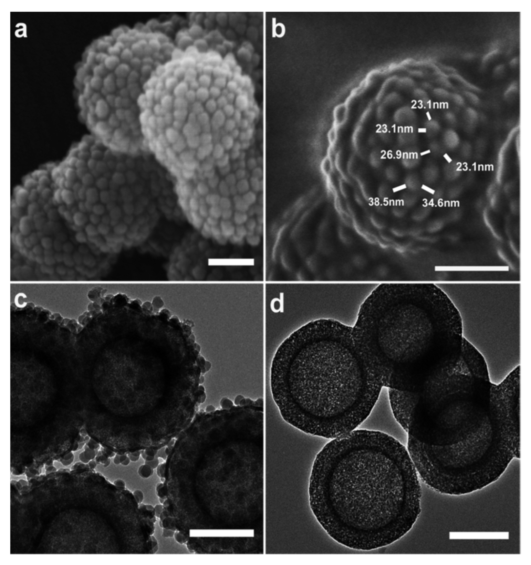 Nanomaterials 12 00552 g008