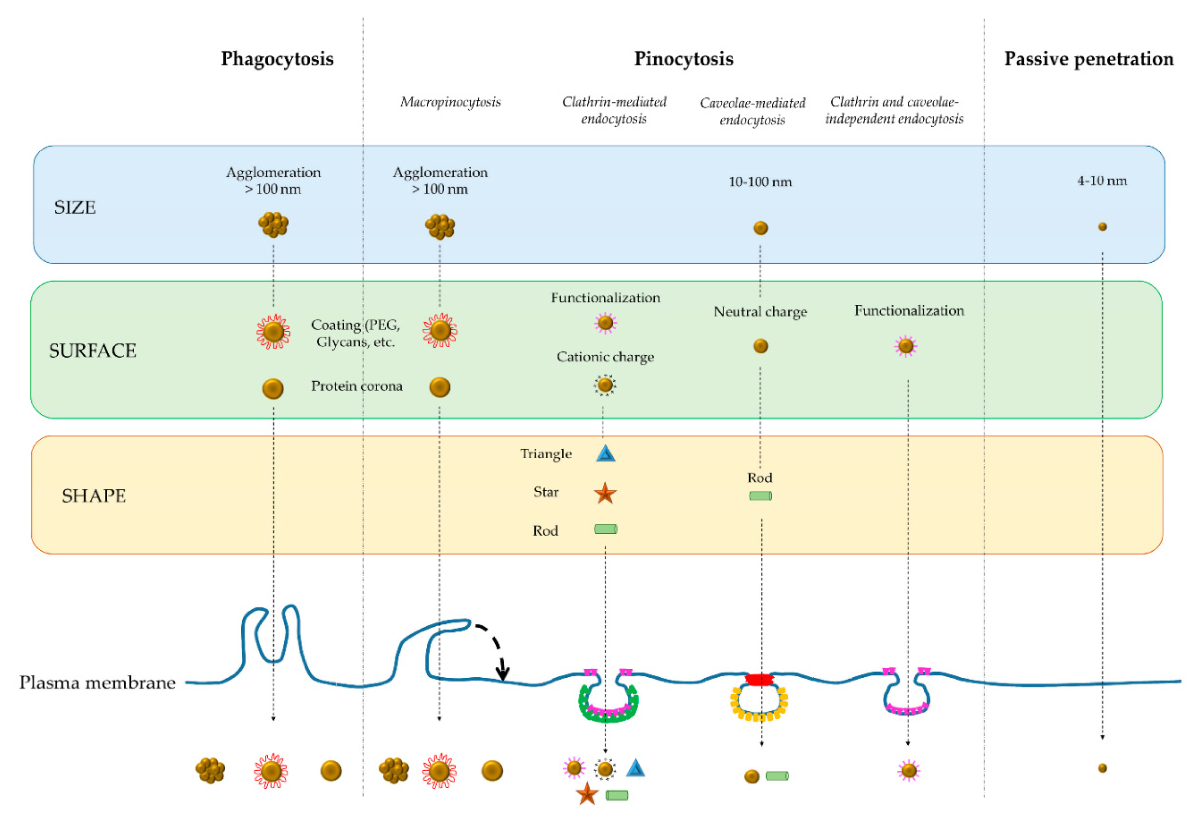 Nanomaterials 12 00552 g009