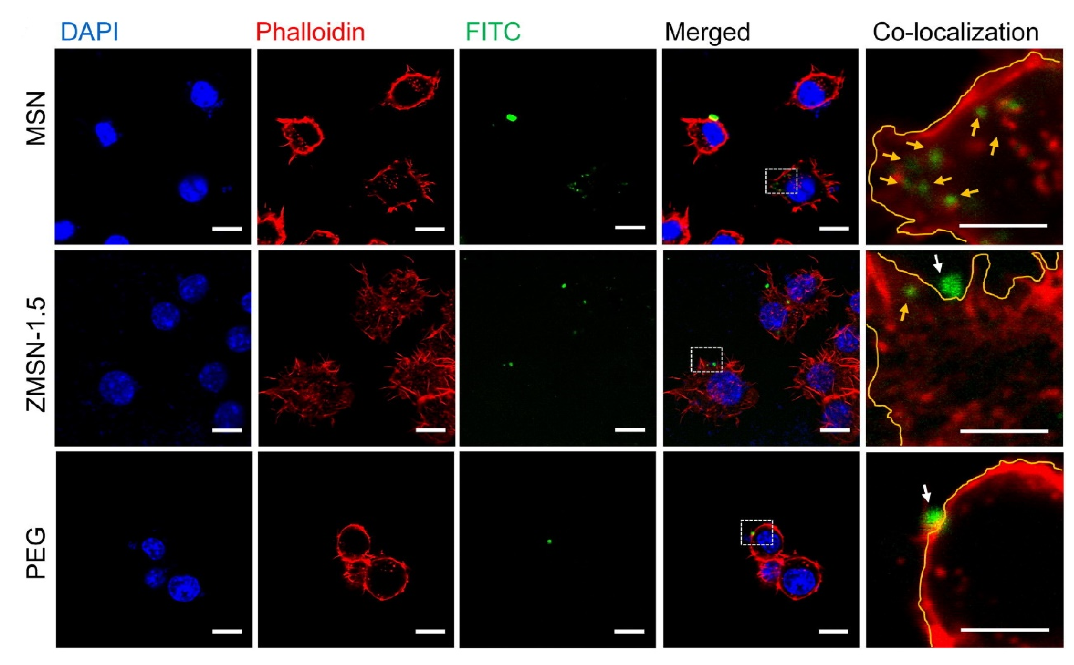 Nanomaterials 12 00552 g011