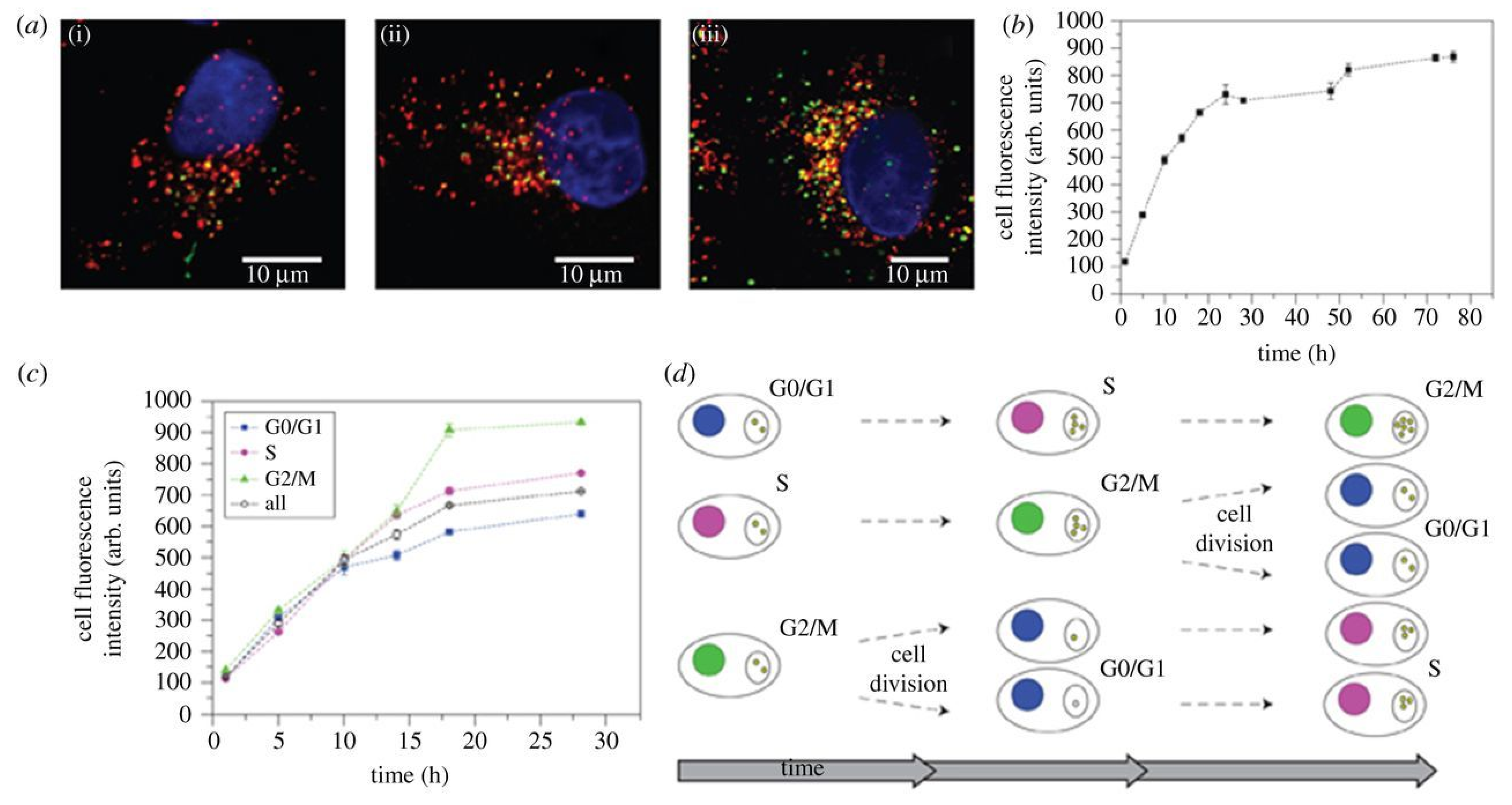 Nanomaterials 12 00552 g012