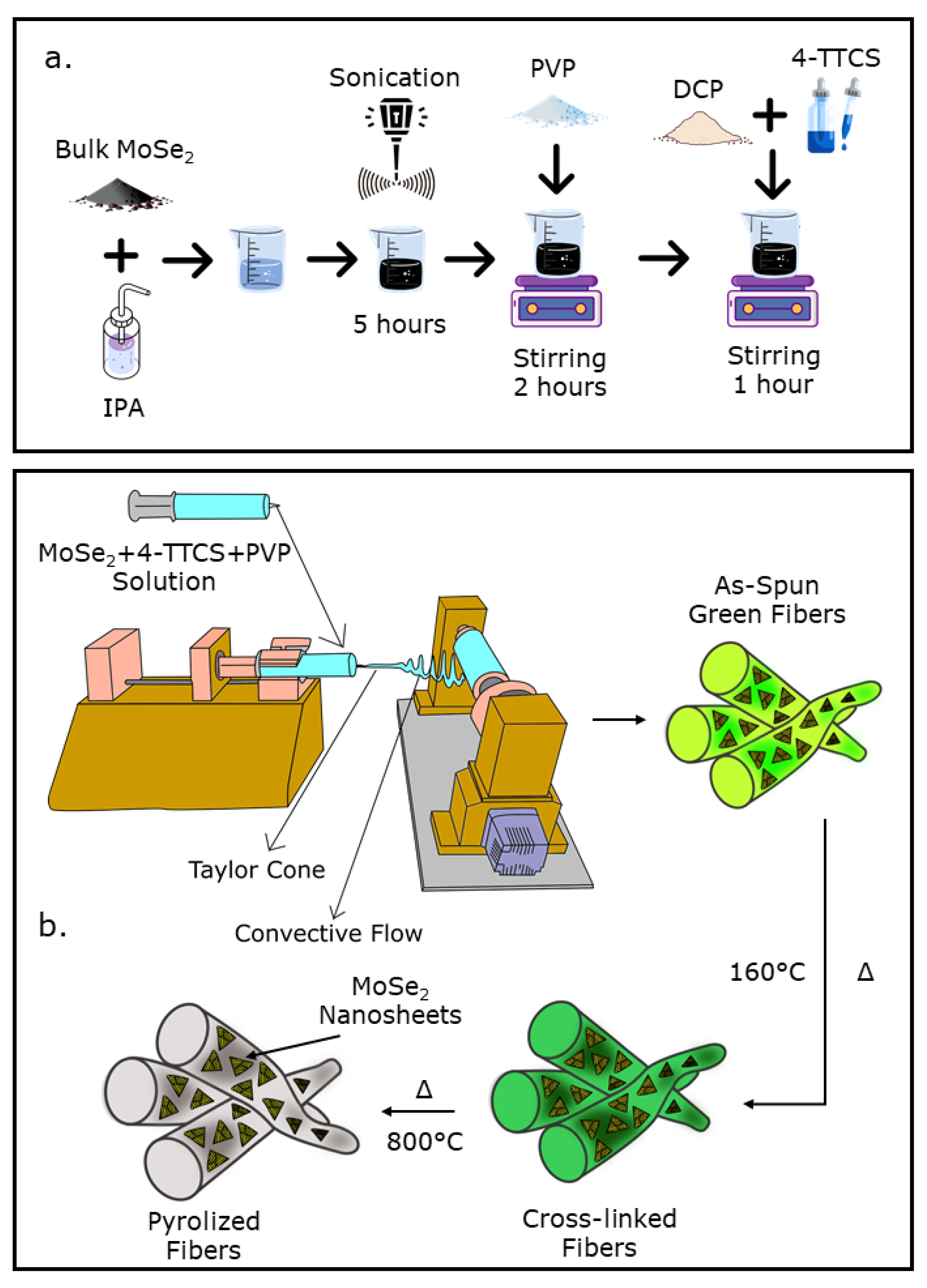 Nanomaterials 12 00553 g001