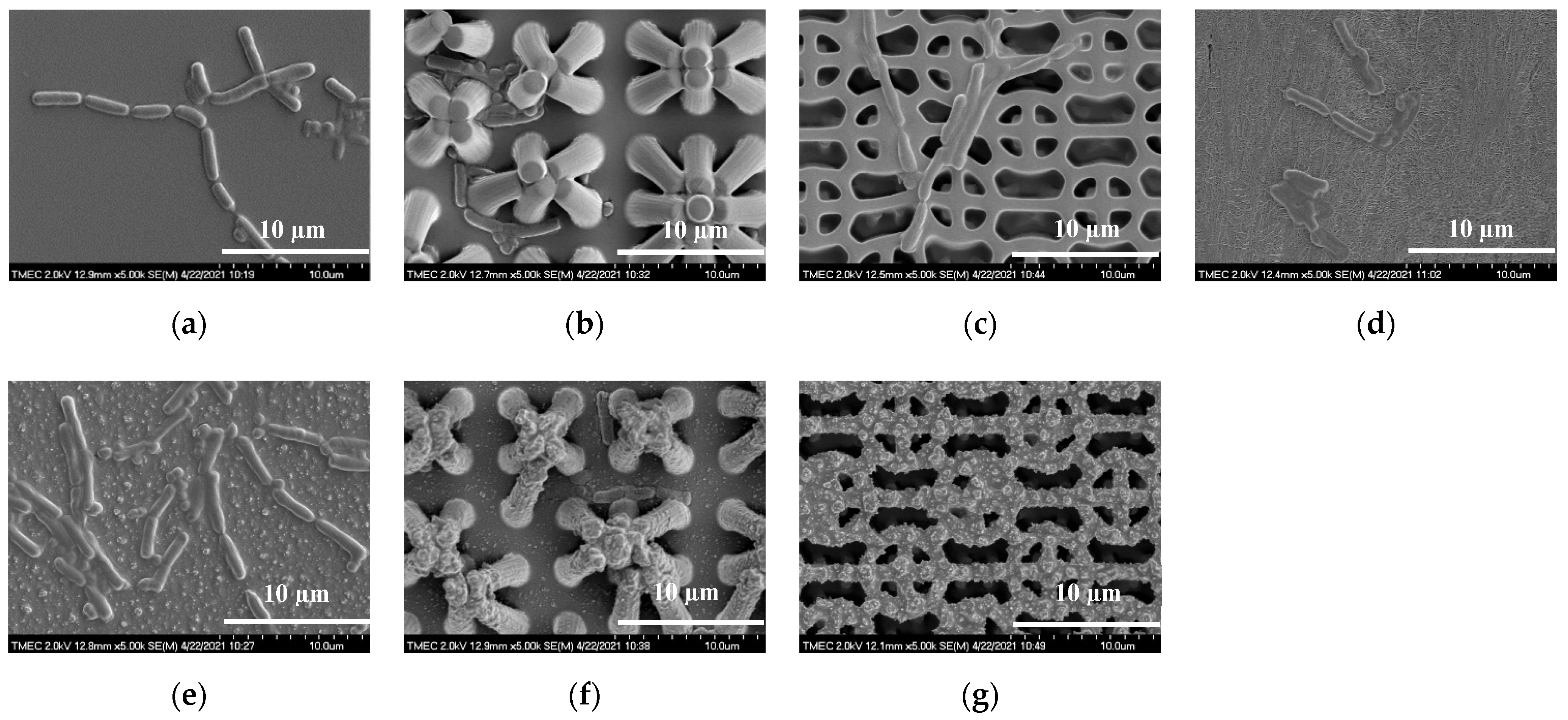 Nanomaterials 12 00557 g009