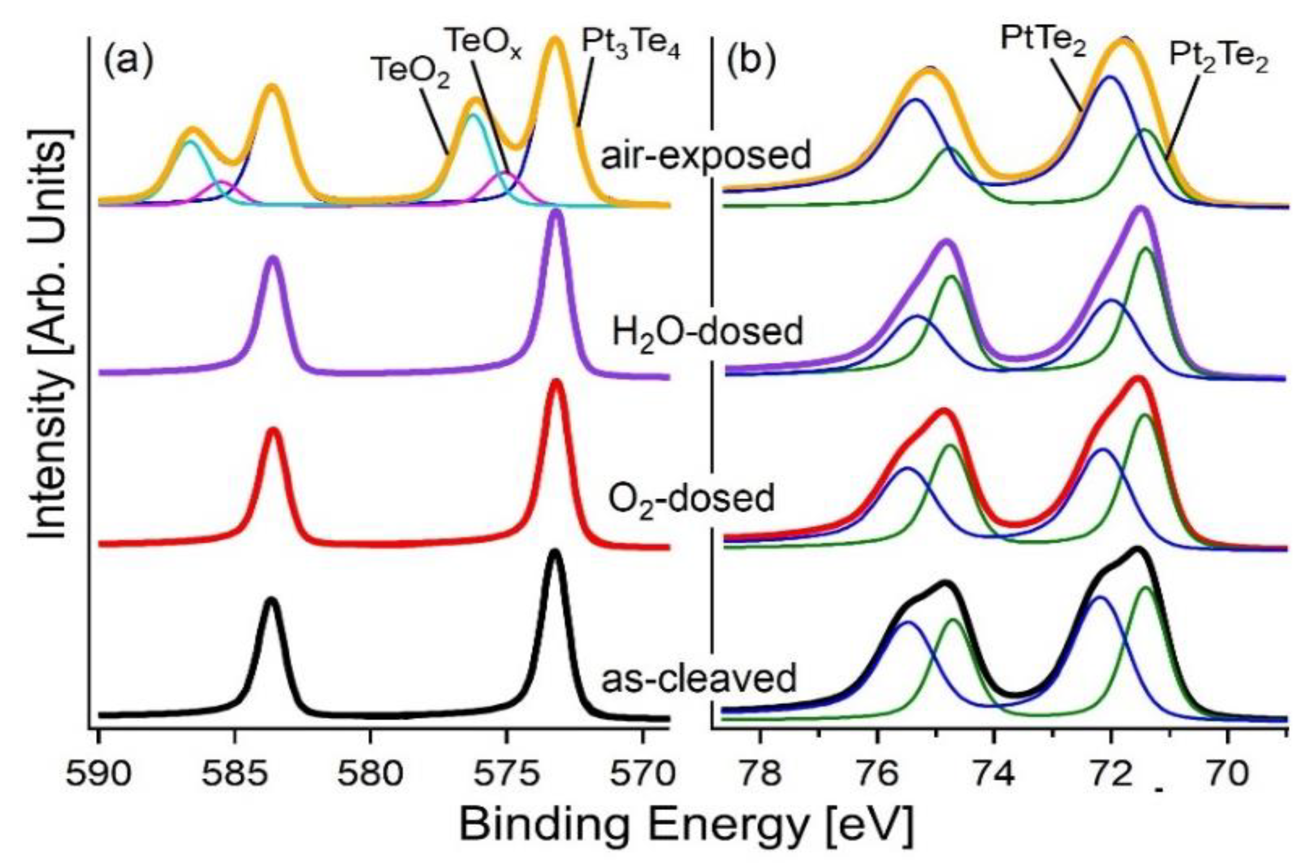Nanomaterials 12 00558 g002