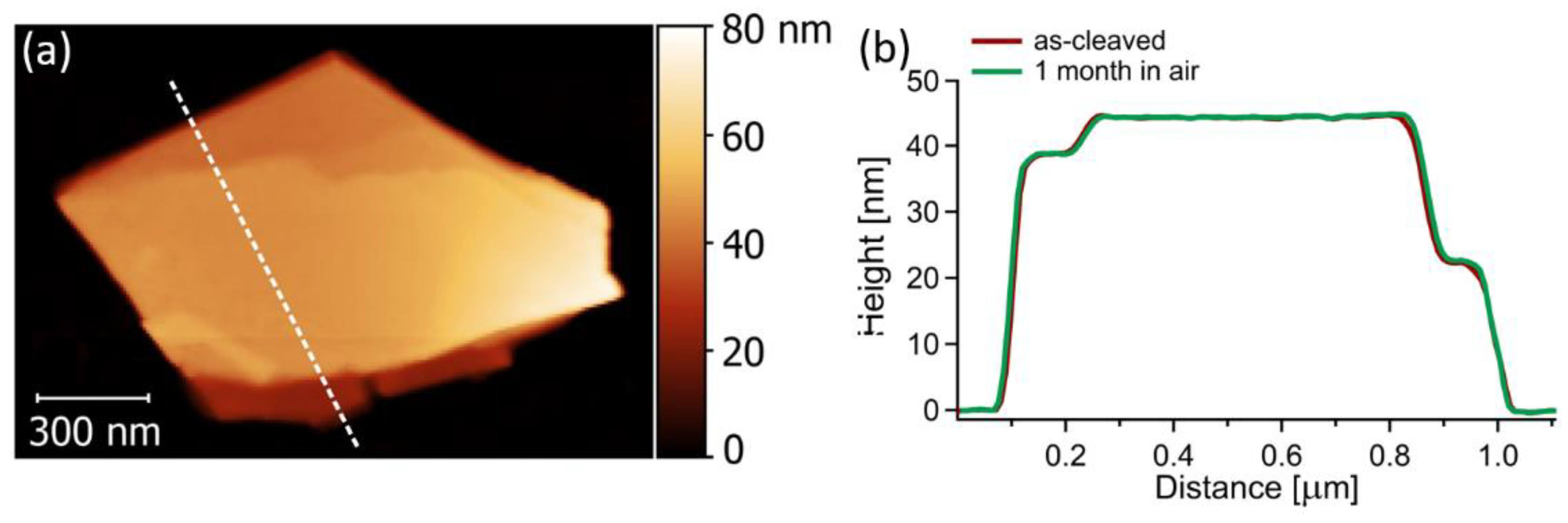 Nanomaterials 12 00558 g003