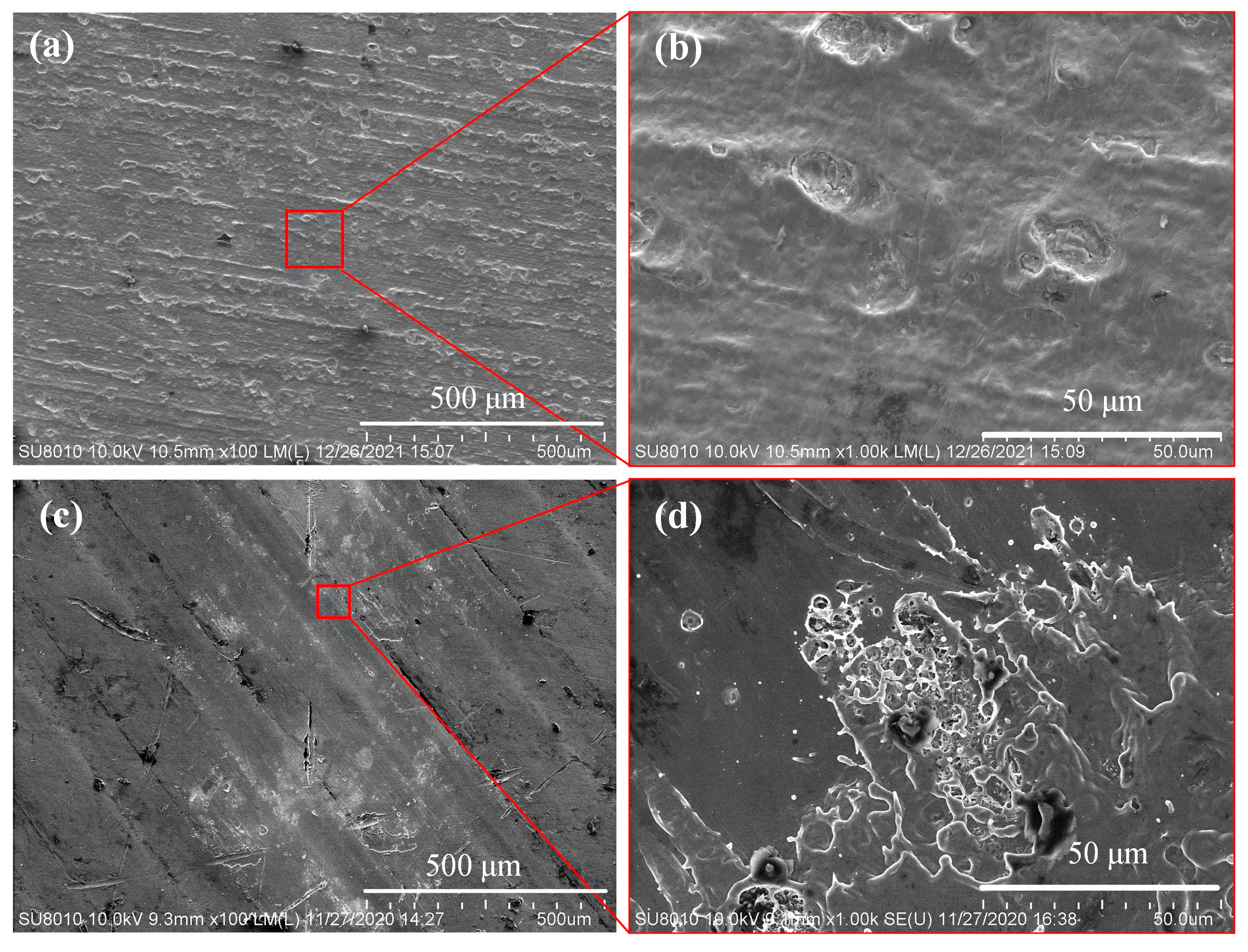 Nanomaterials 12 00559 g005 550