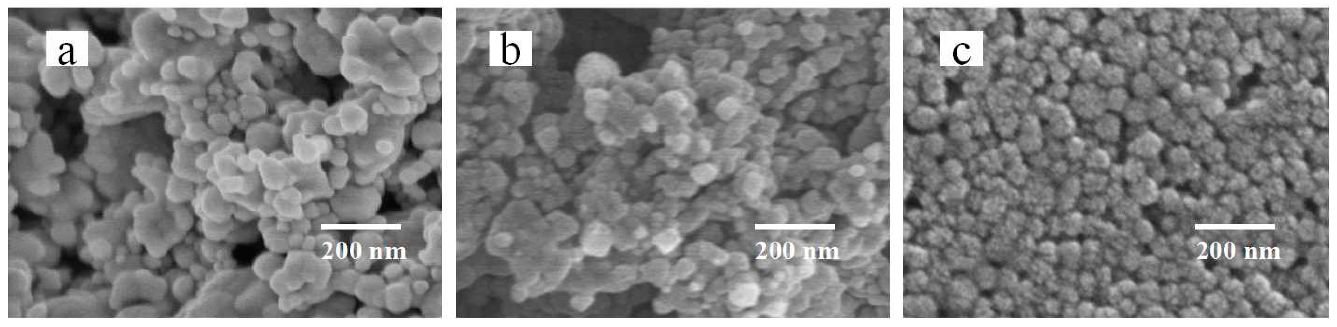 Nanomaterials 12 00560 g002 550