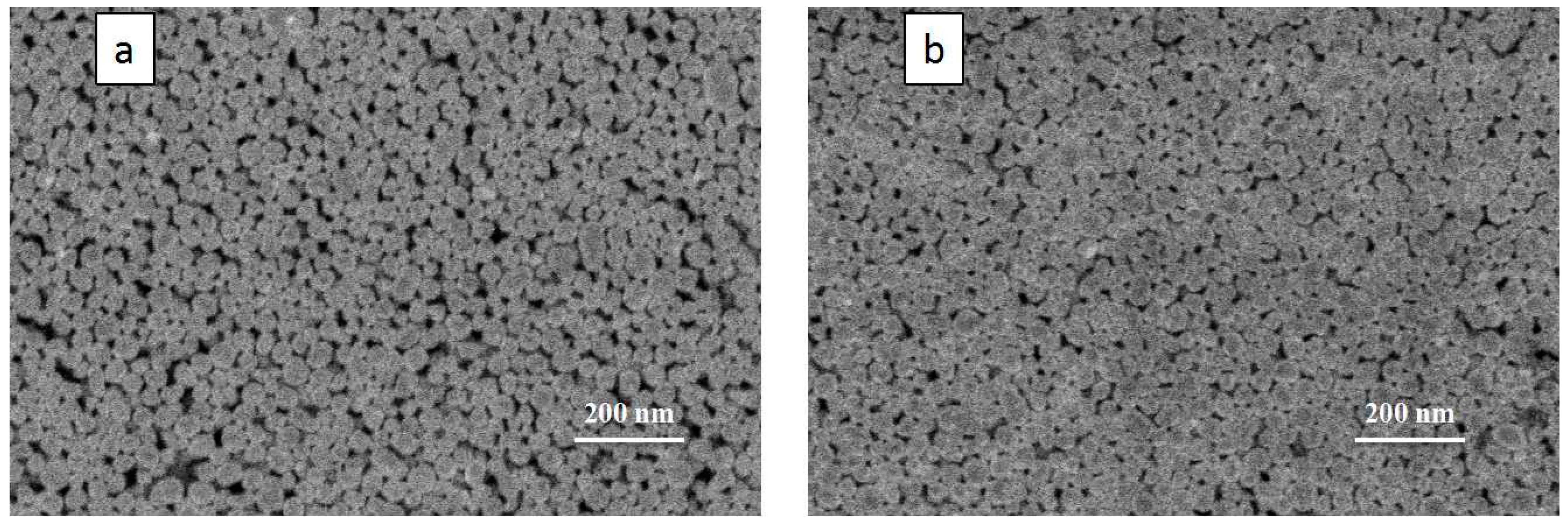 Nanomaterials 12 00560 g007 550