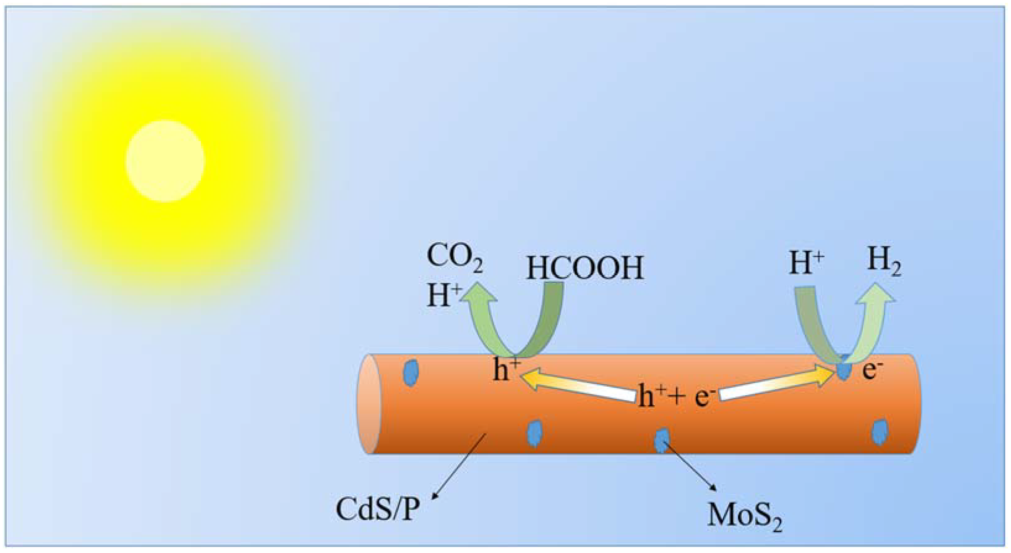 Nanomaterials 12 00561 sch001 Nanomaterials 12 00561 sch001