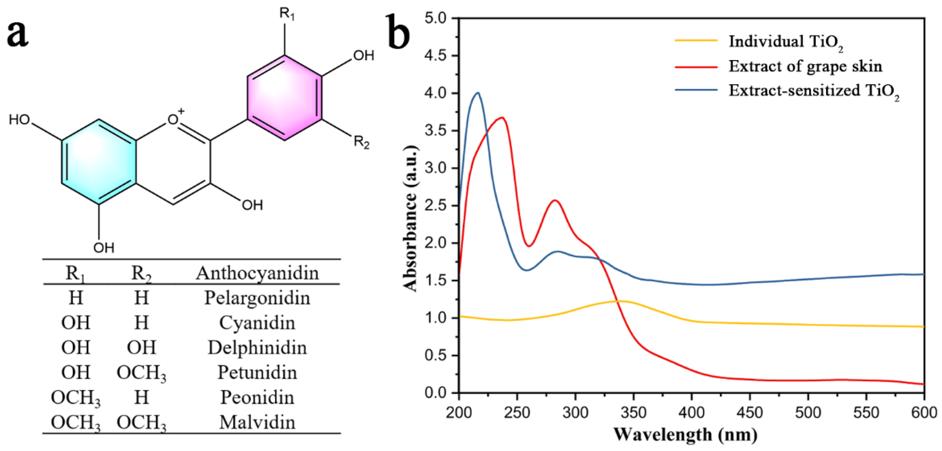 Nanomaterials 12 00563 g003