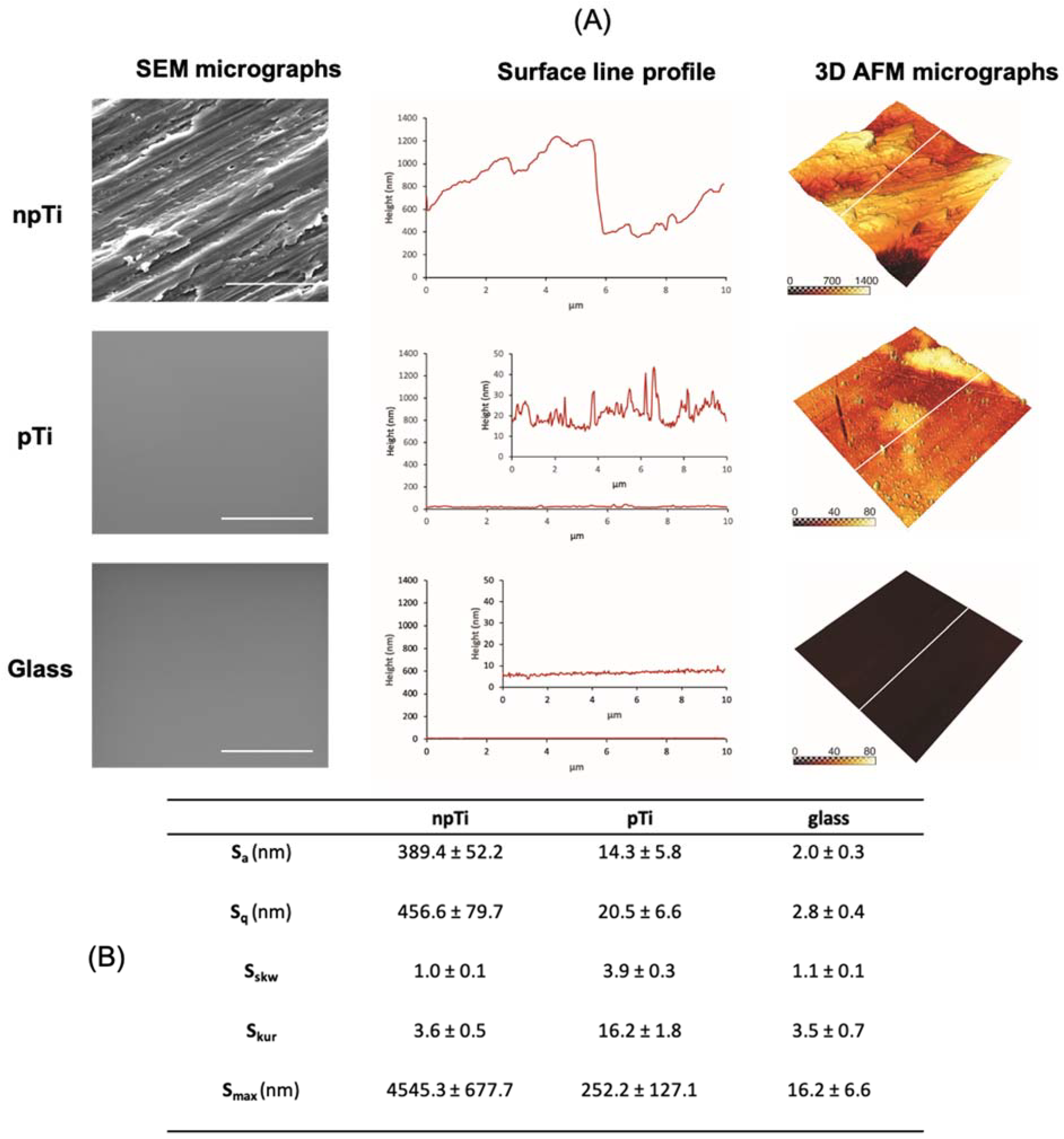 Nanomaterials 12 00567 g001 Nanomaterials 12 00567 g001
