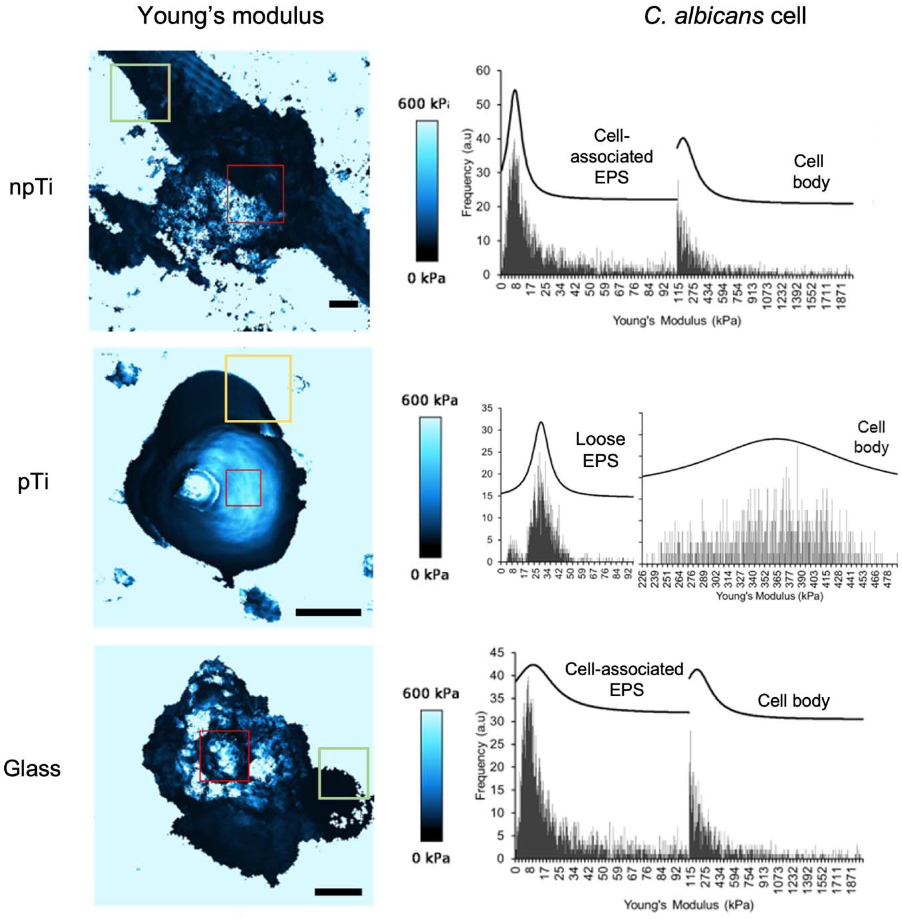Nanomaterials 12 00567 g003 Nanomaterials 12 00567 g003