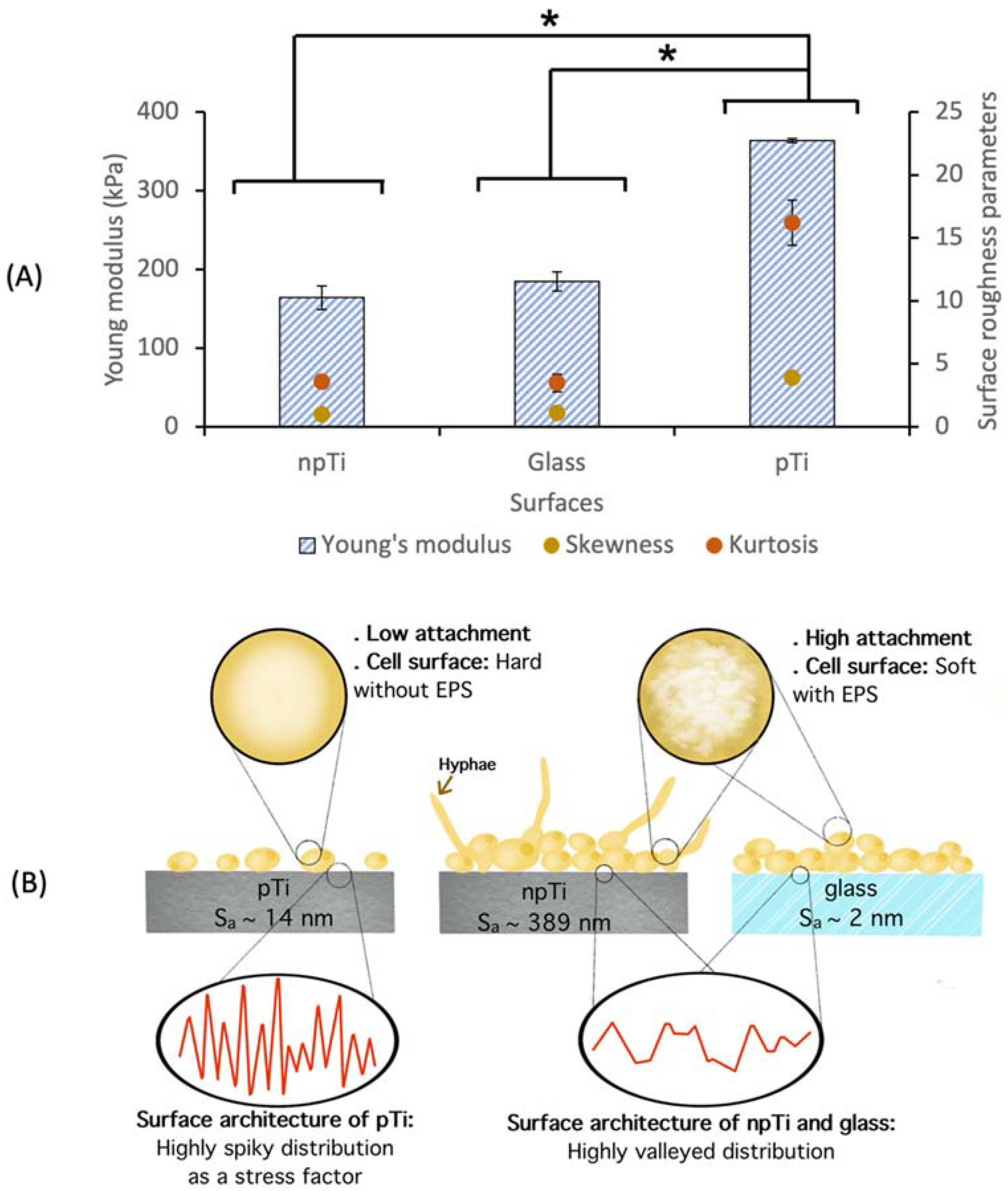 Nanomaterials 12 00567 g005 Nanomaterials 12 00567 g005