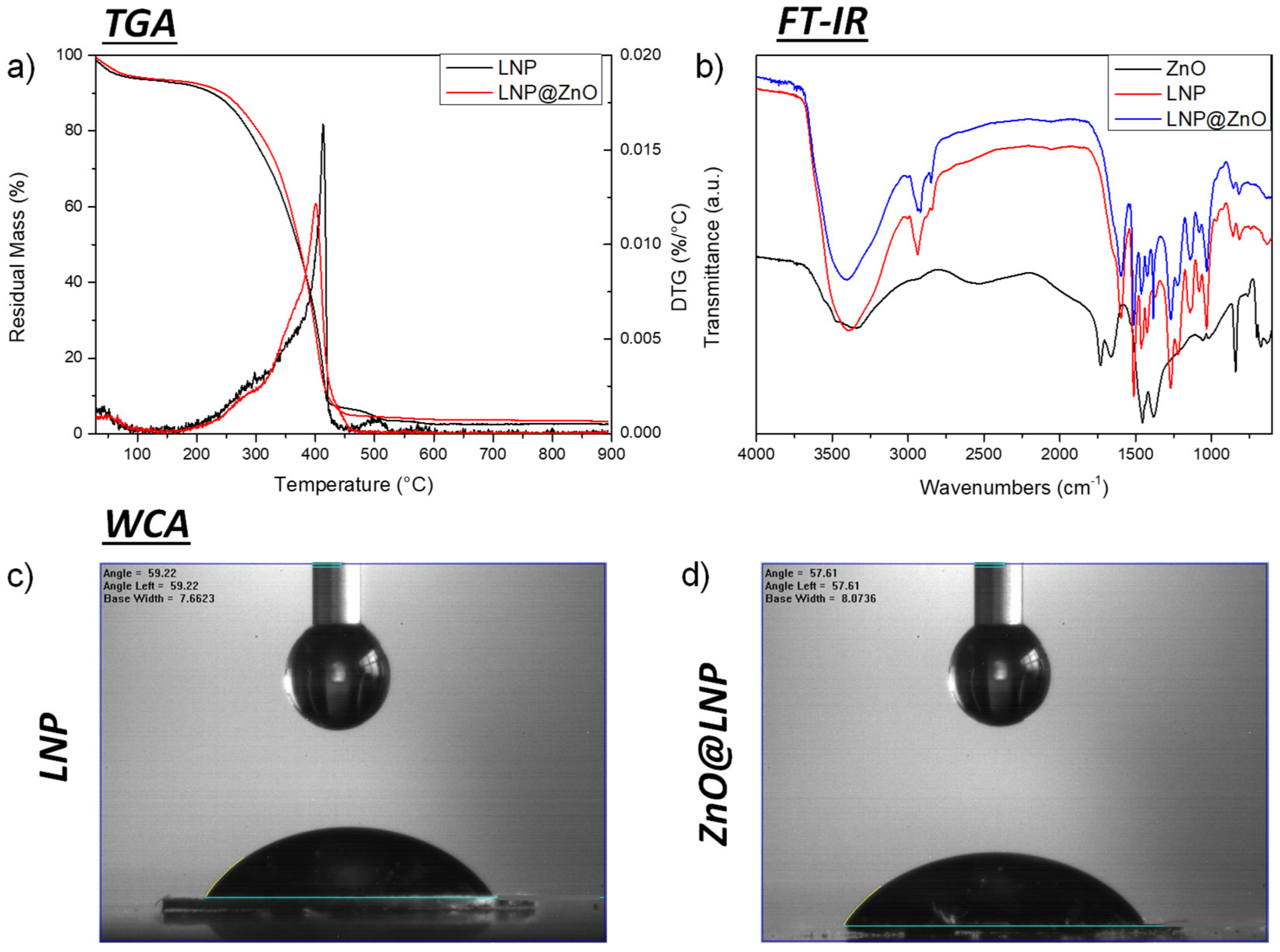 Nanomaterials 12 00568 g001
