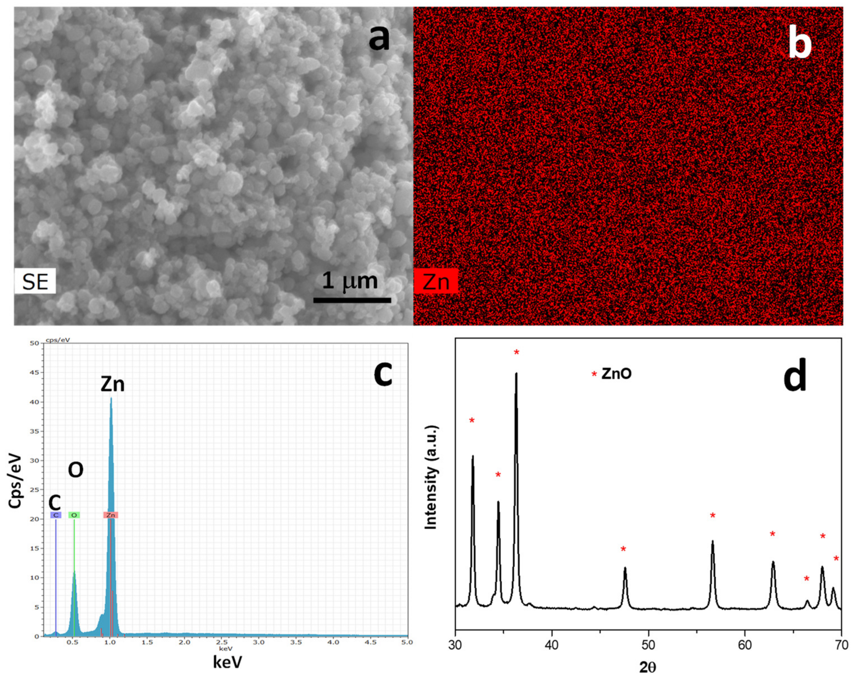 Nanomaterials 12 00568 g003