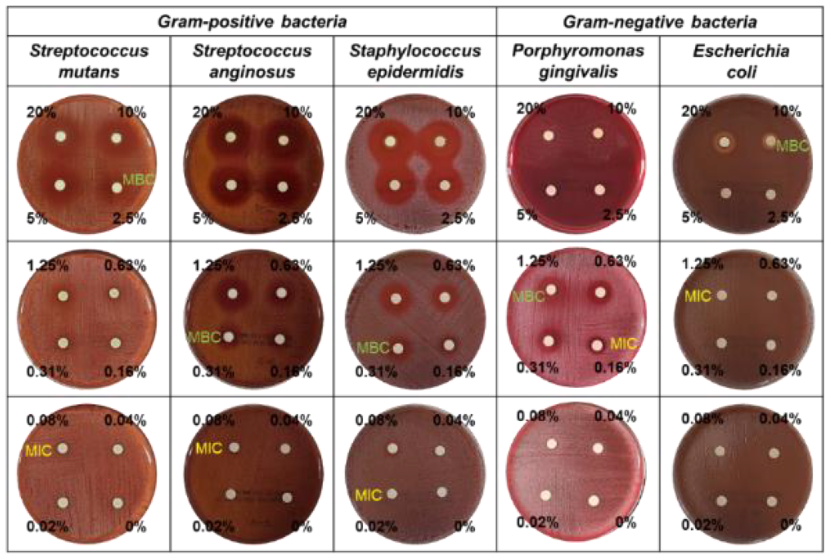 Nanomaterials 12 00569 g002 550