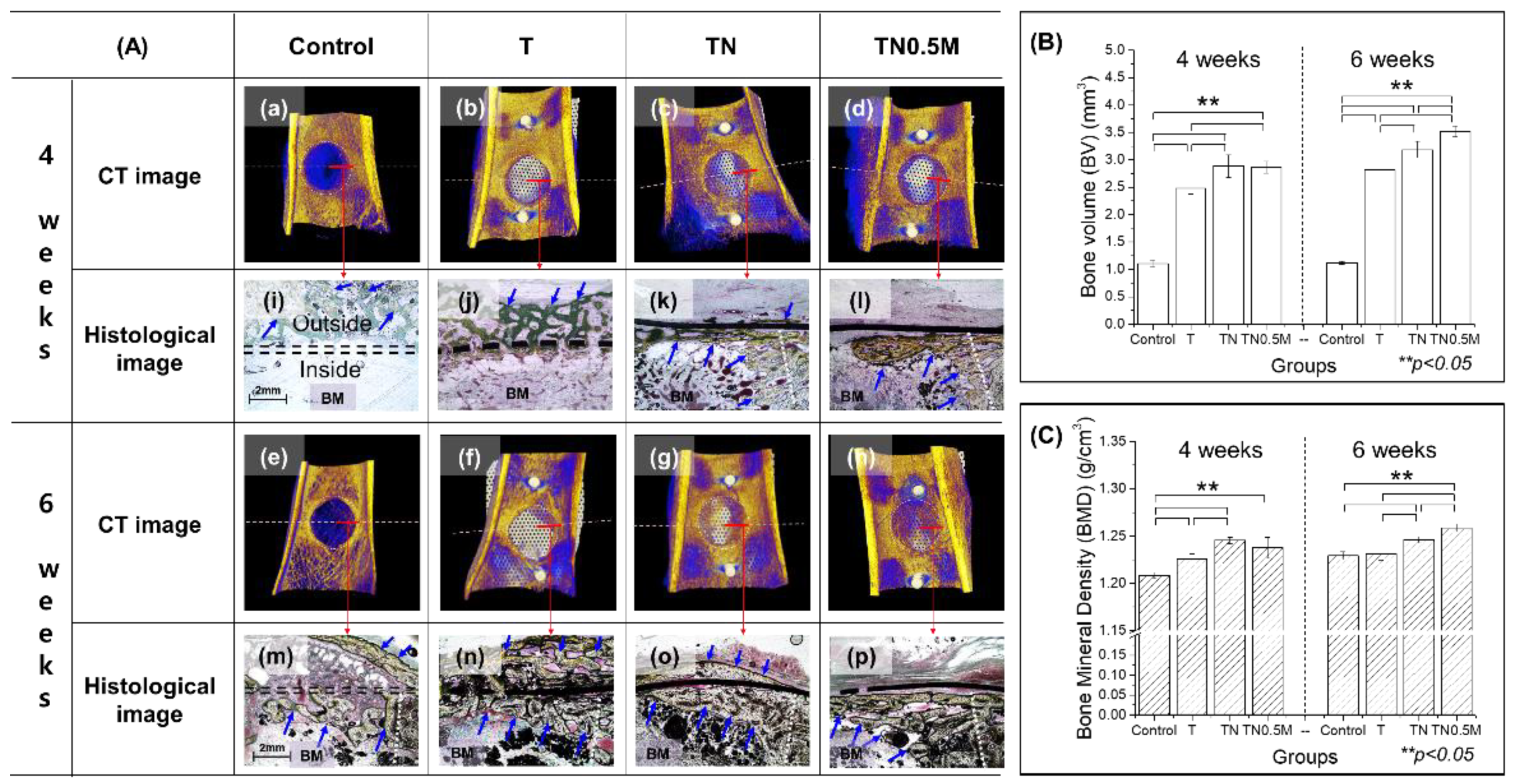 Nanomaterials 12 00569 g008 550