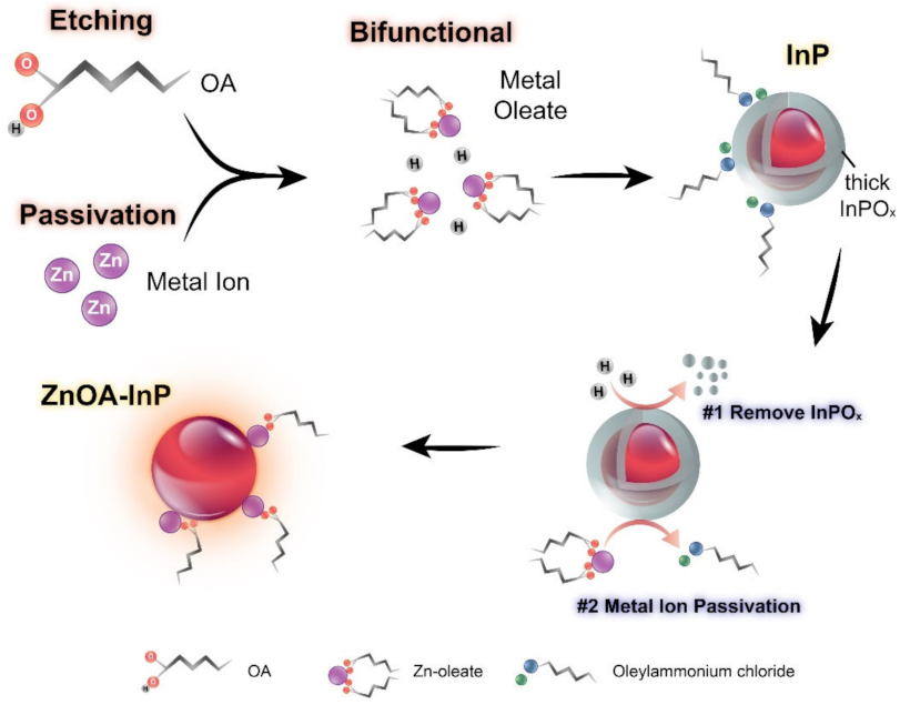 Nanomaterials 12 00573 g002