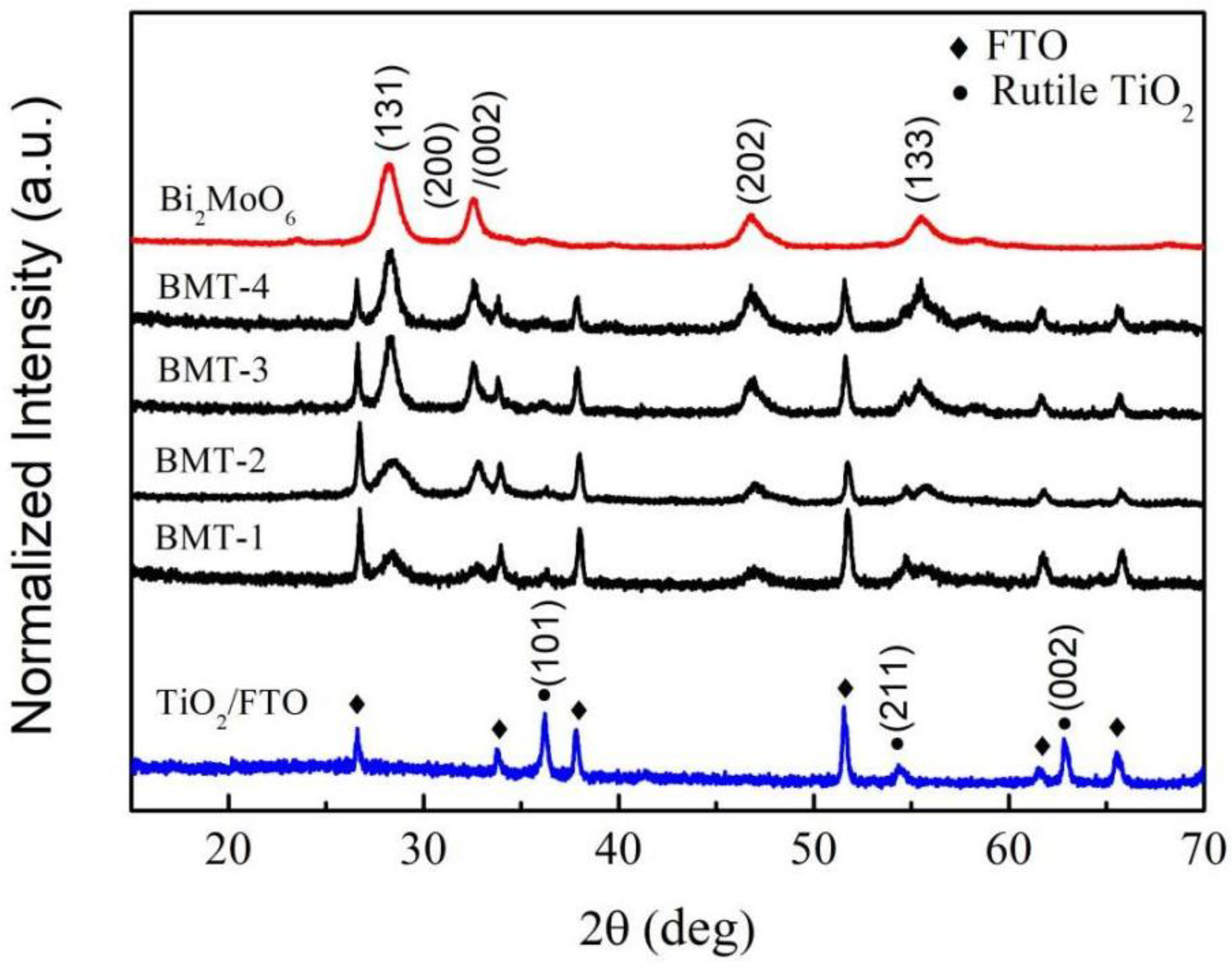 Nanomaterials 12 00574 g001
