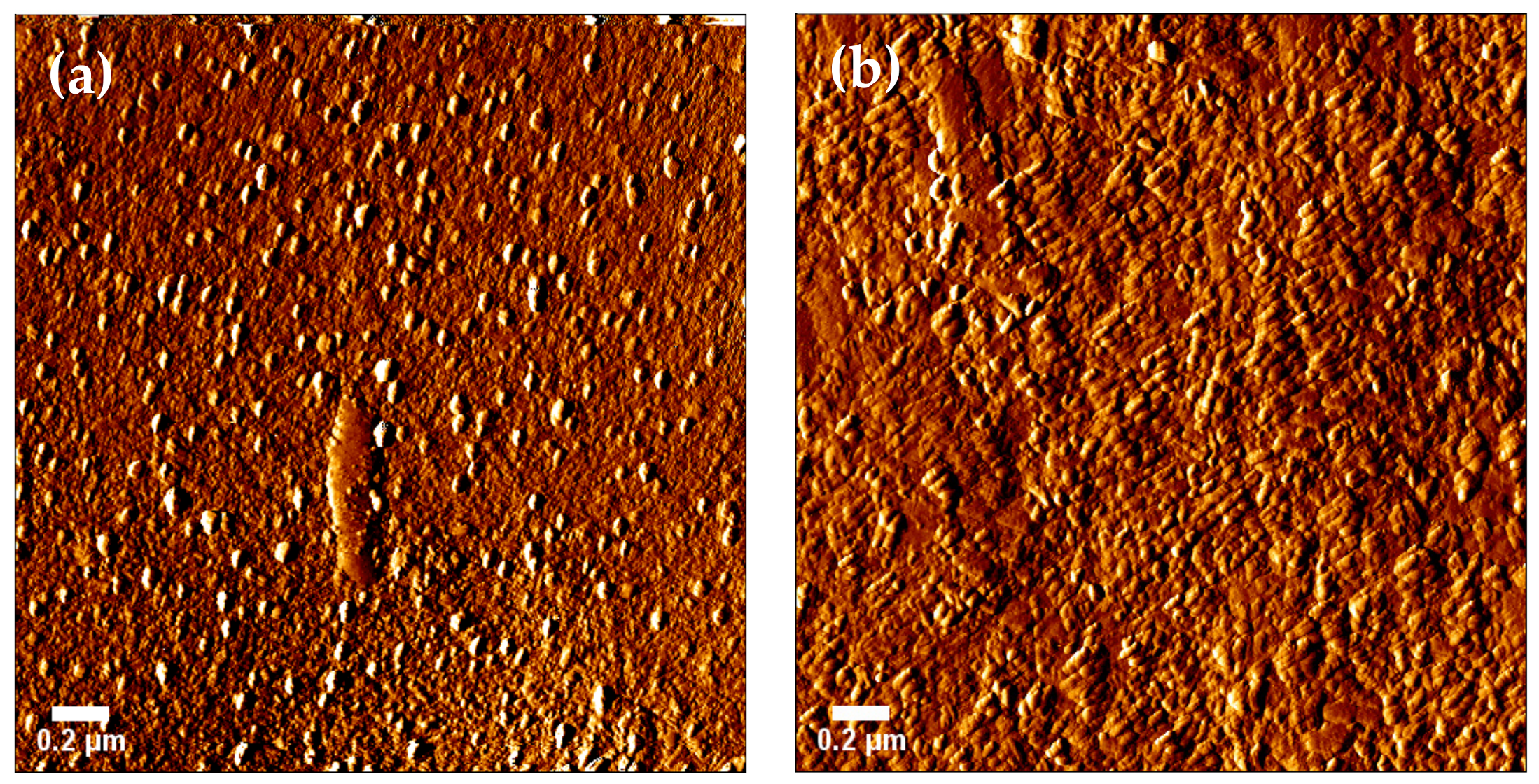 Nanomaterials 12 00575 g005