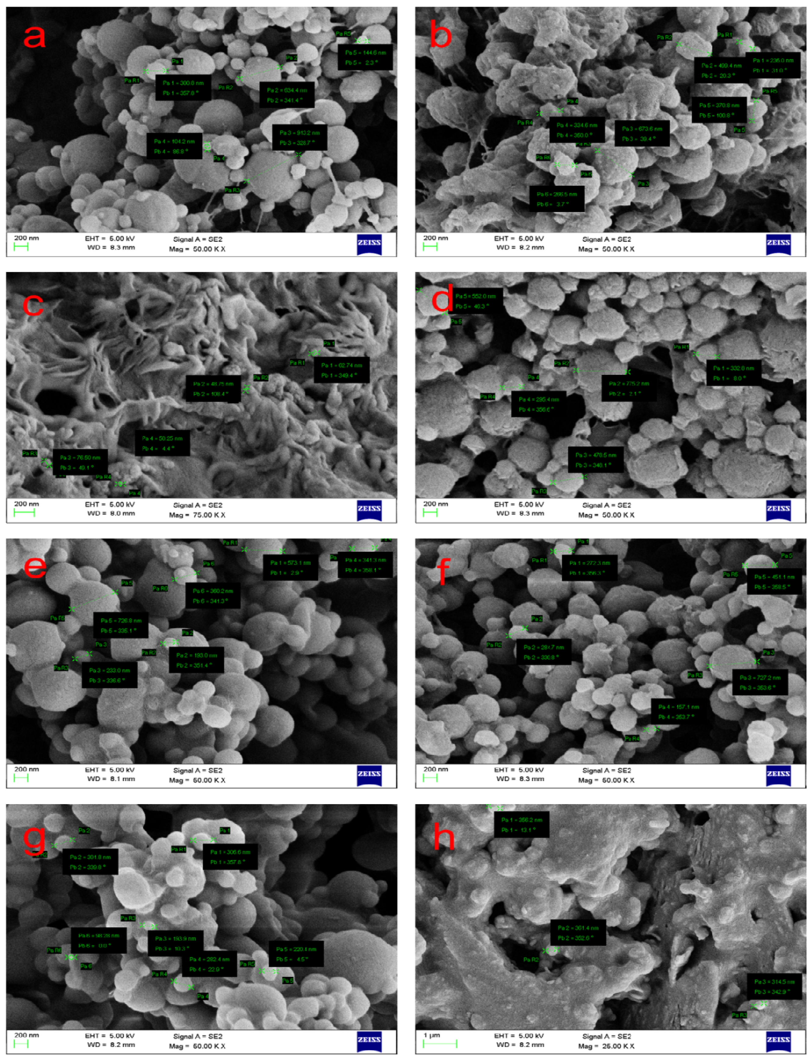 Nanomaterials 12 00576 g002 Nanomaterials 12 00576 g002