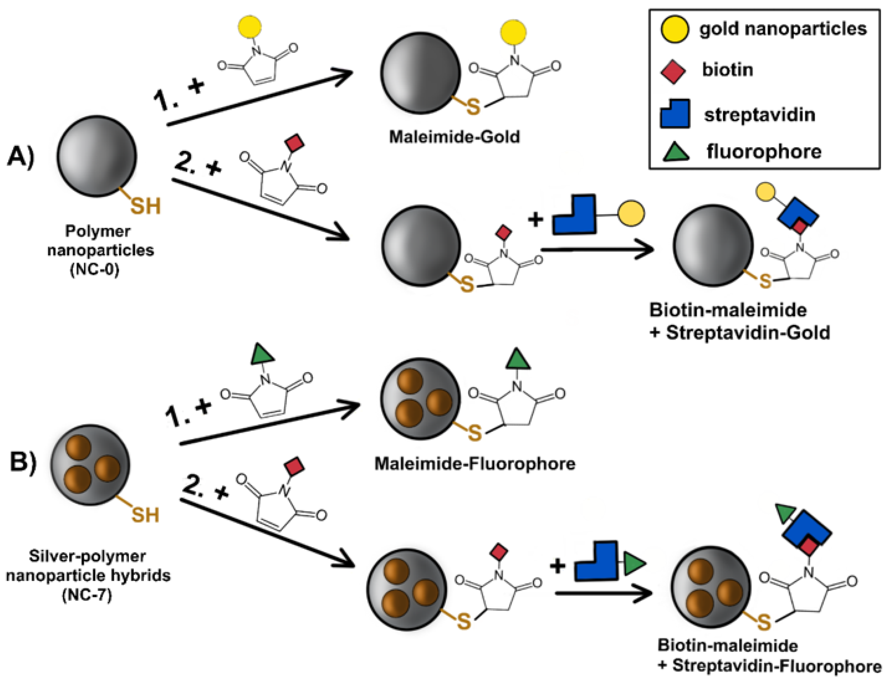 Nanomaterials 12 00577 g002 550