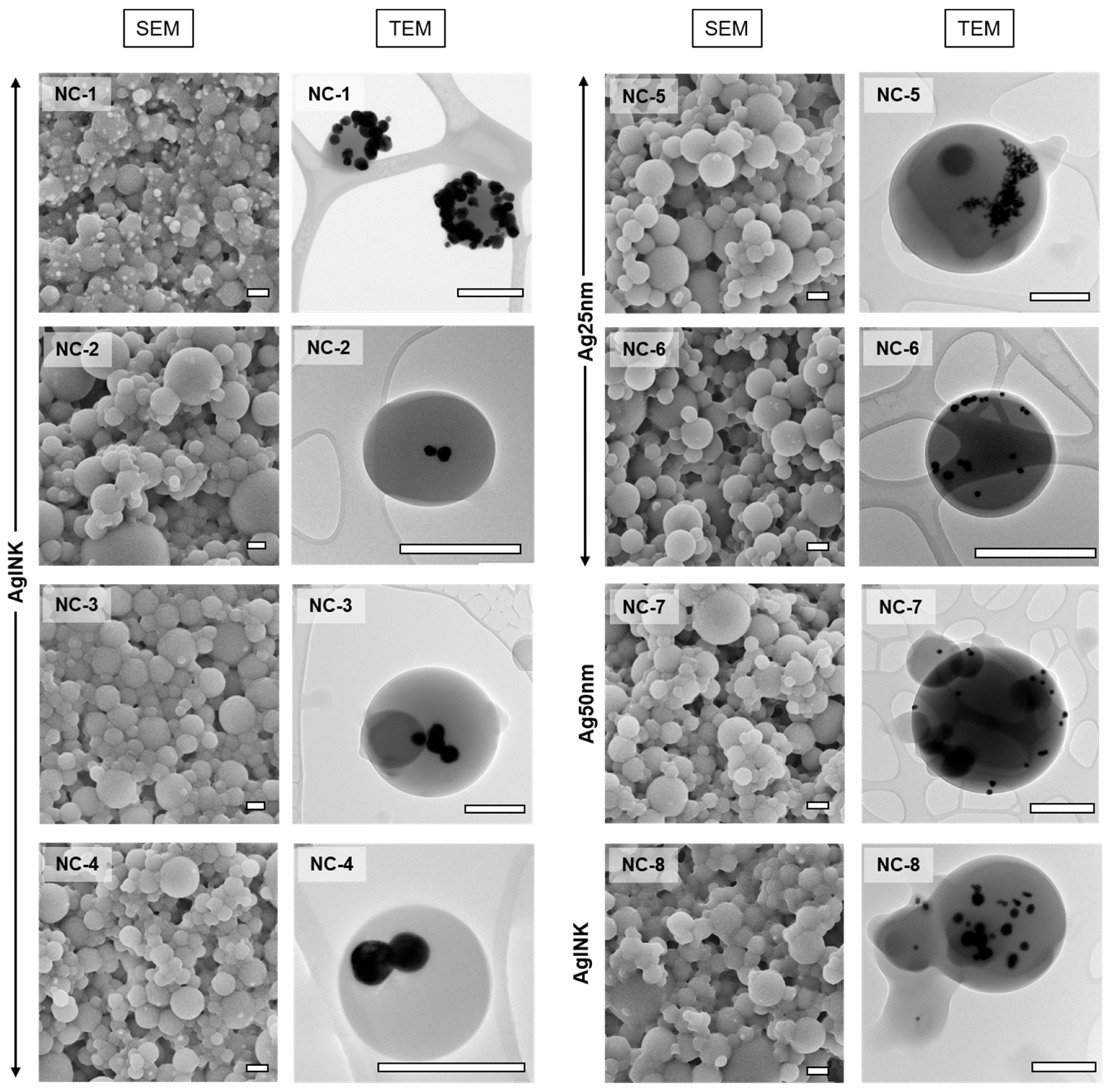 Nanomaterials 12 00577 g003 550
