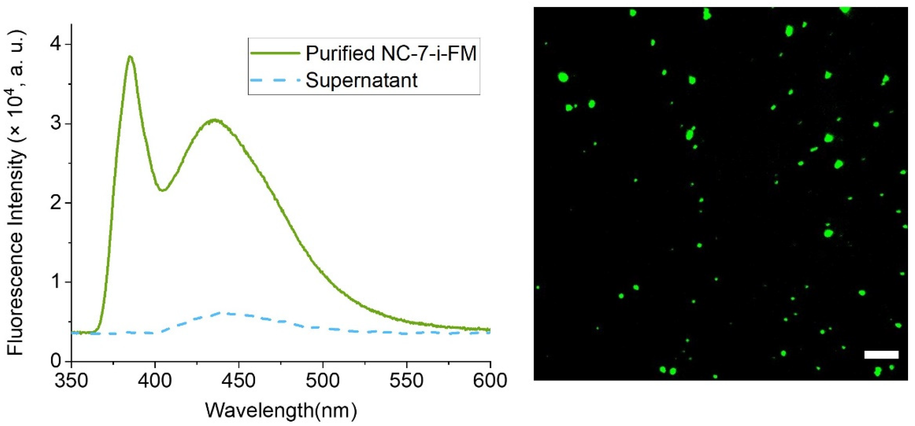 Nanomaterials 12 00577 g005 550