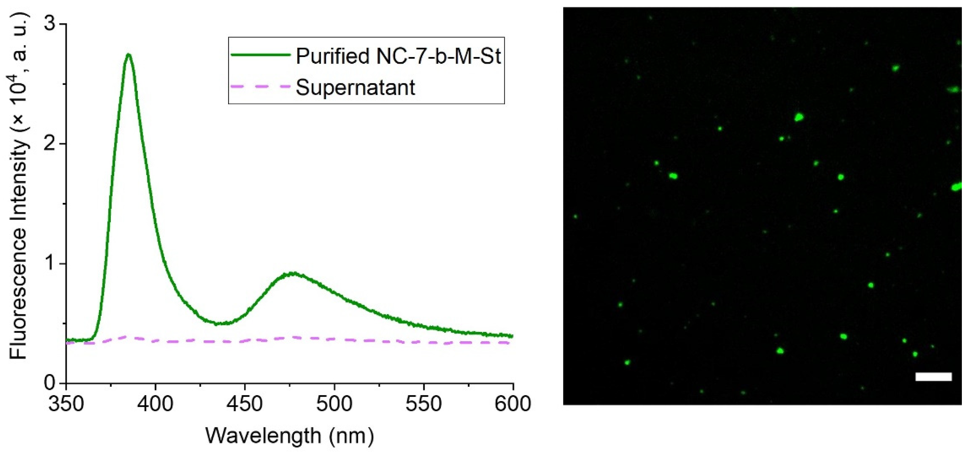 Nanomaterials 12 00577 g006 550