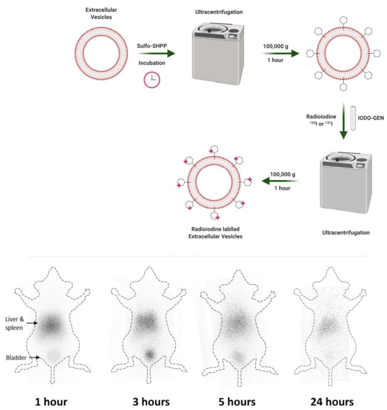 Nanomaterials 12 00582 g003 Nanomaterials 12 00582 g003