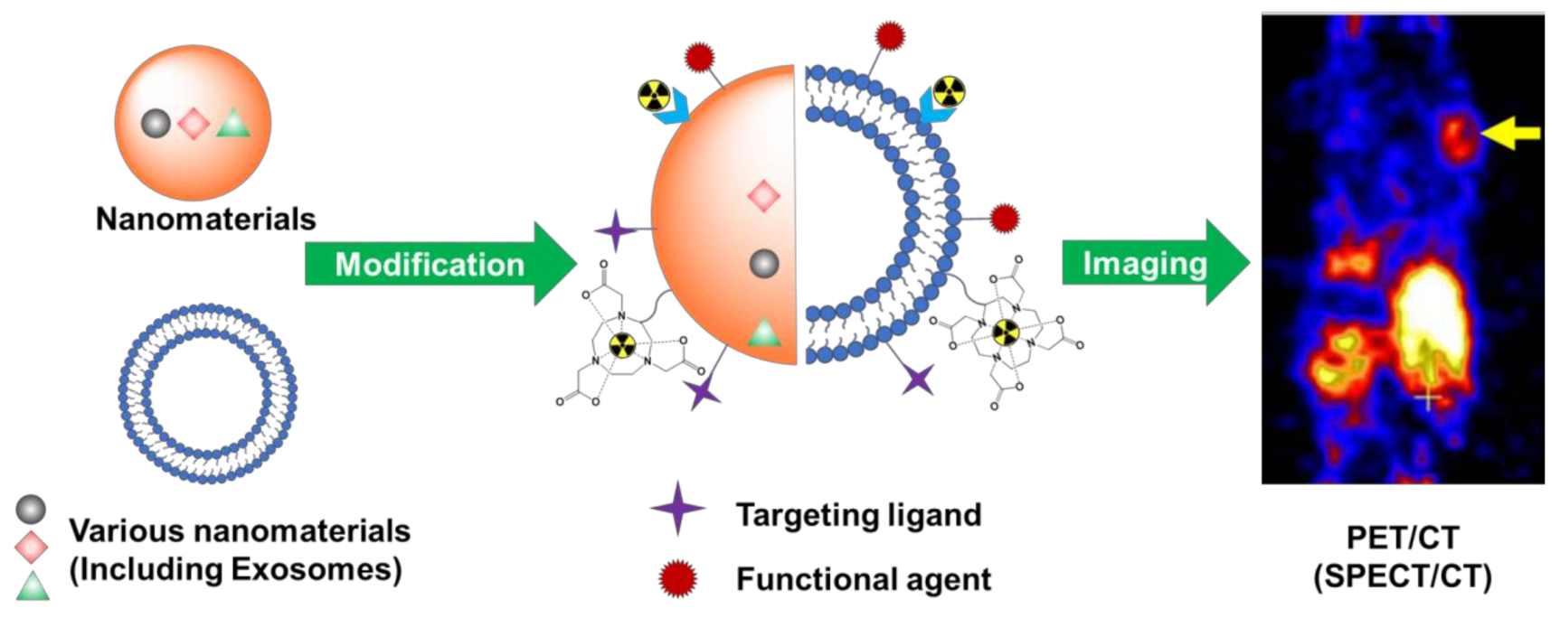 Nanomaterials 12 00582 sch001 Nanomaterials 12 00582 sch001