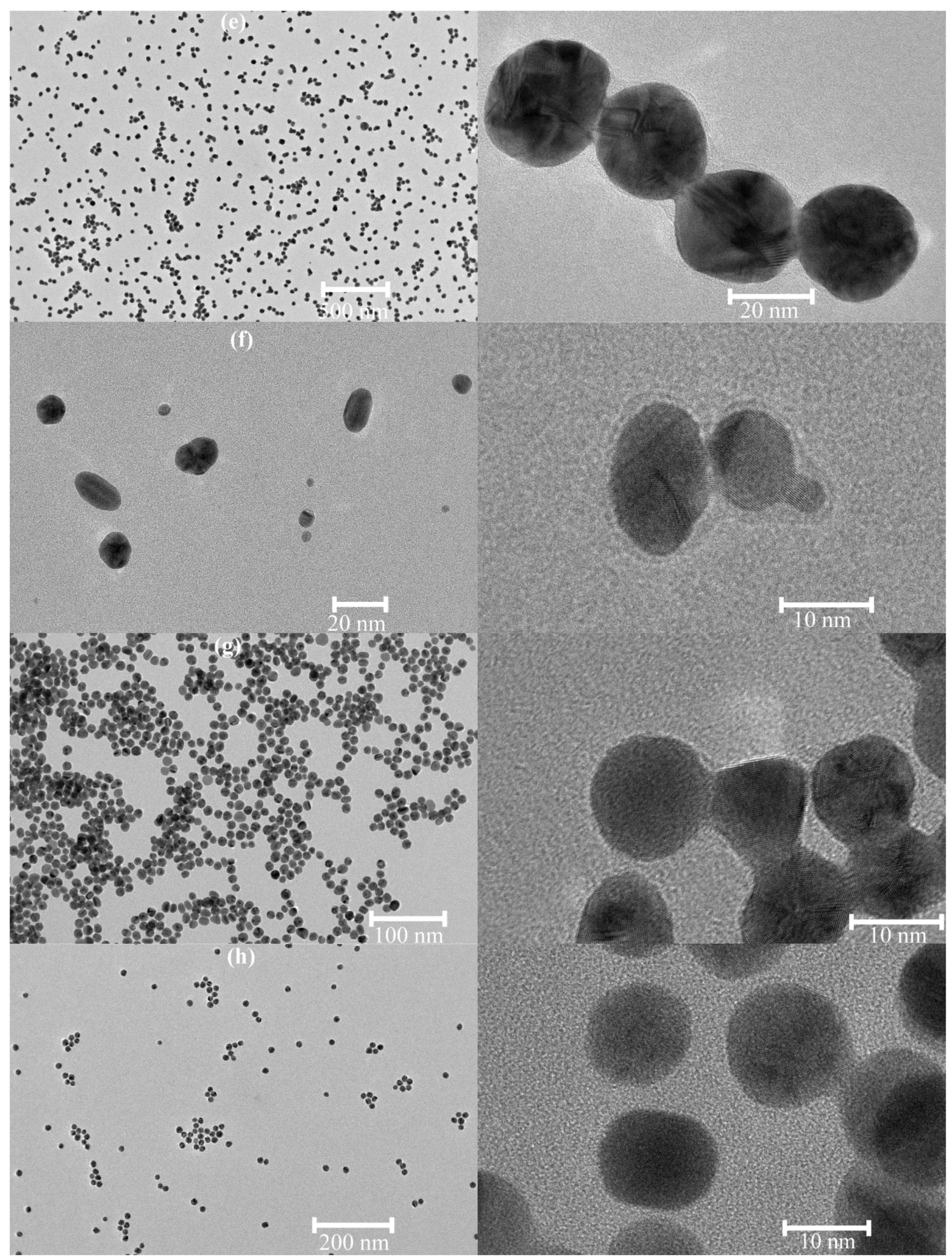 Nanomaterials 12 00583 g001b
