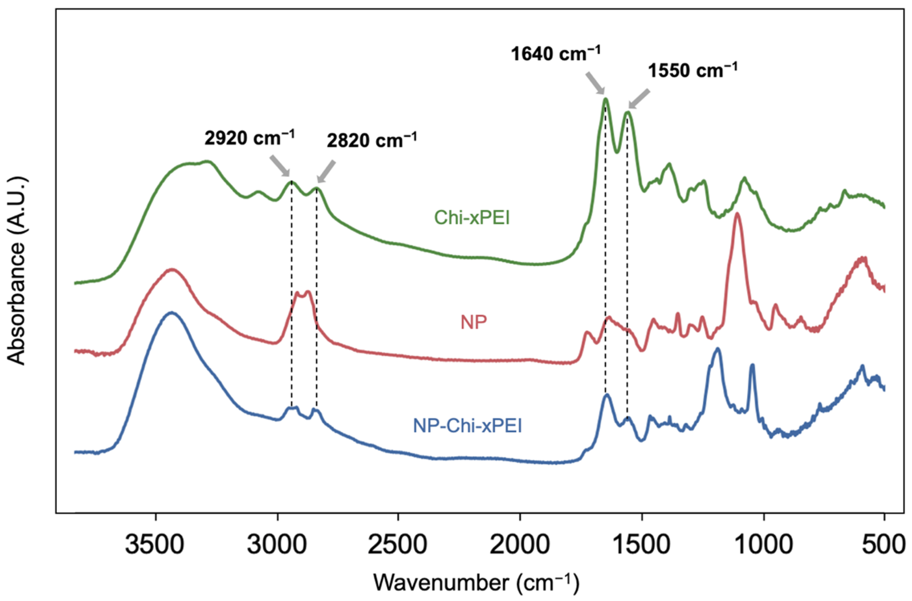 Nanomaterials 12 00584 g003 550