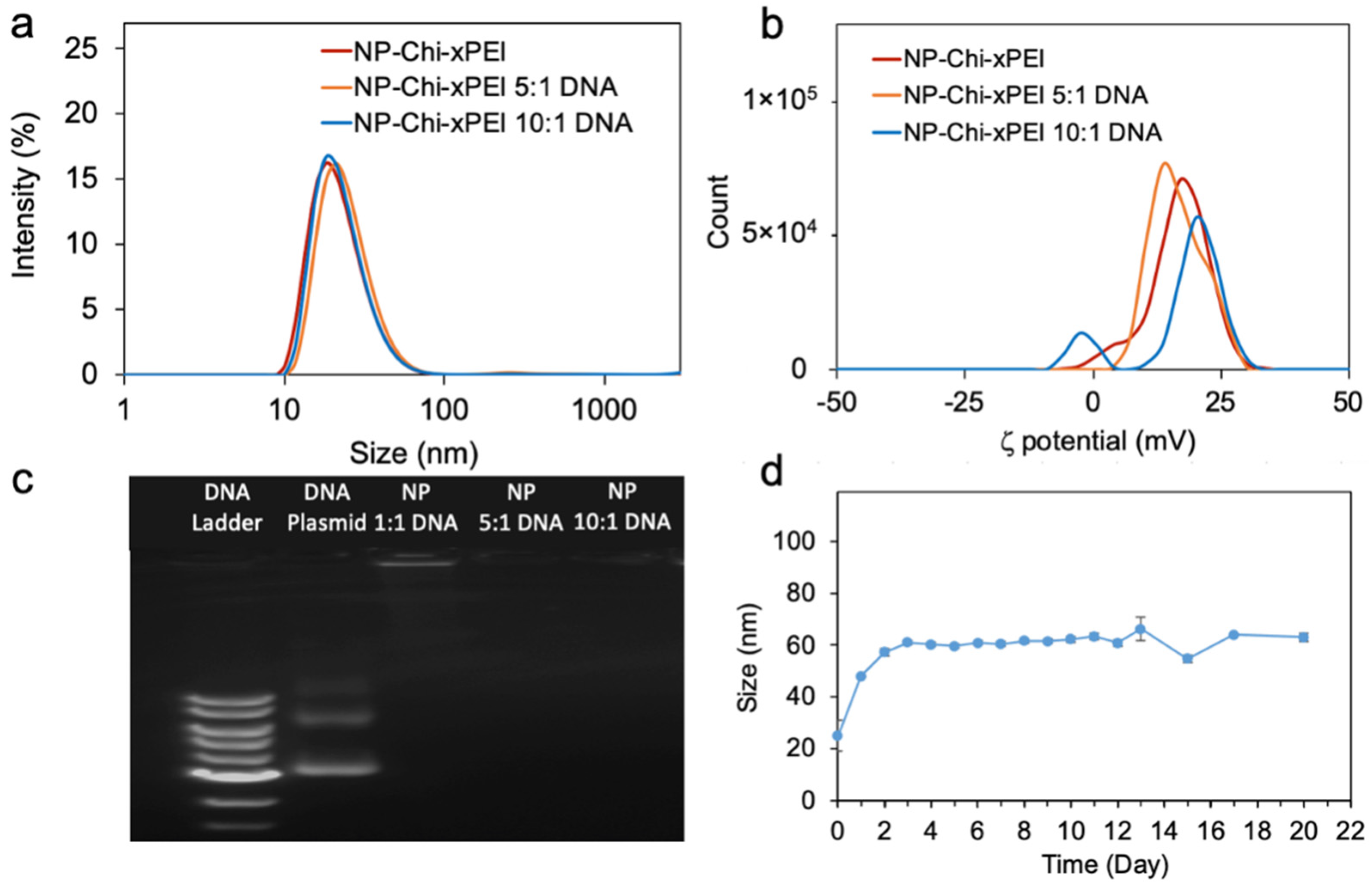 Nanomaterials 12 00584 g004 550