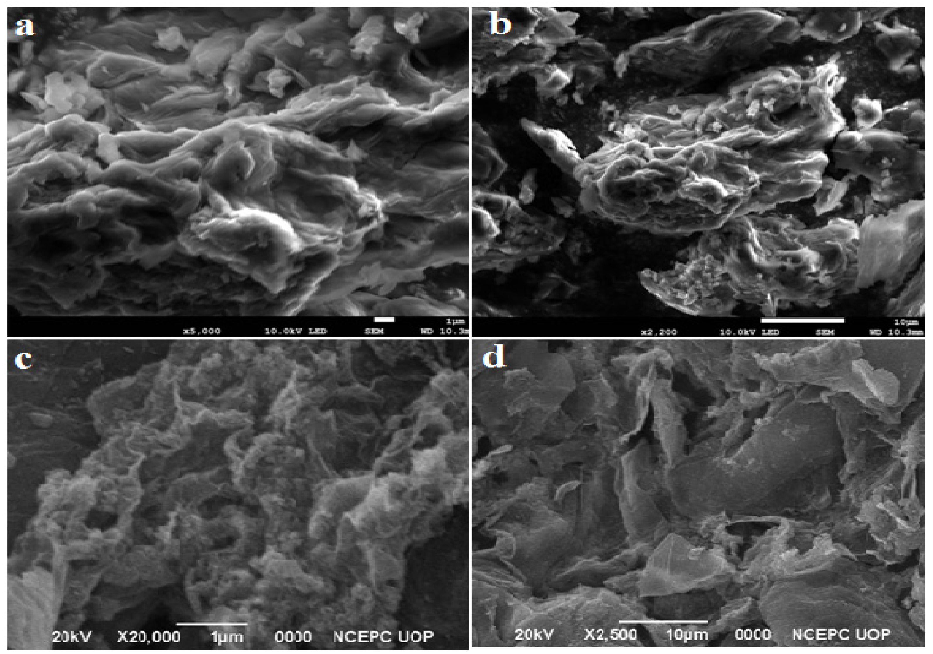 Nanomaterials 12 00585 g003