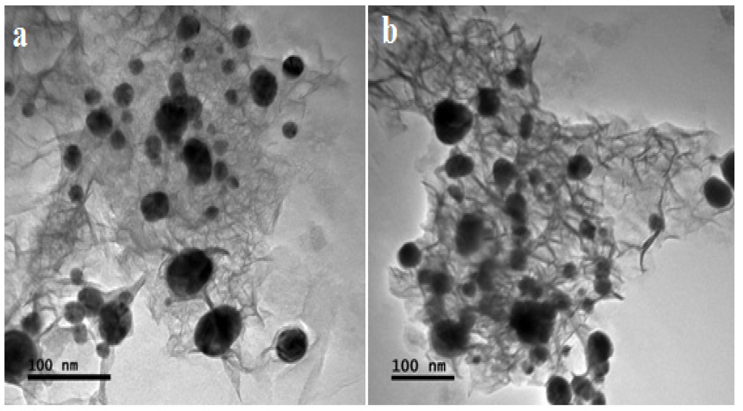Nanomaterials 12 00585 g004