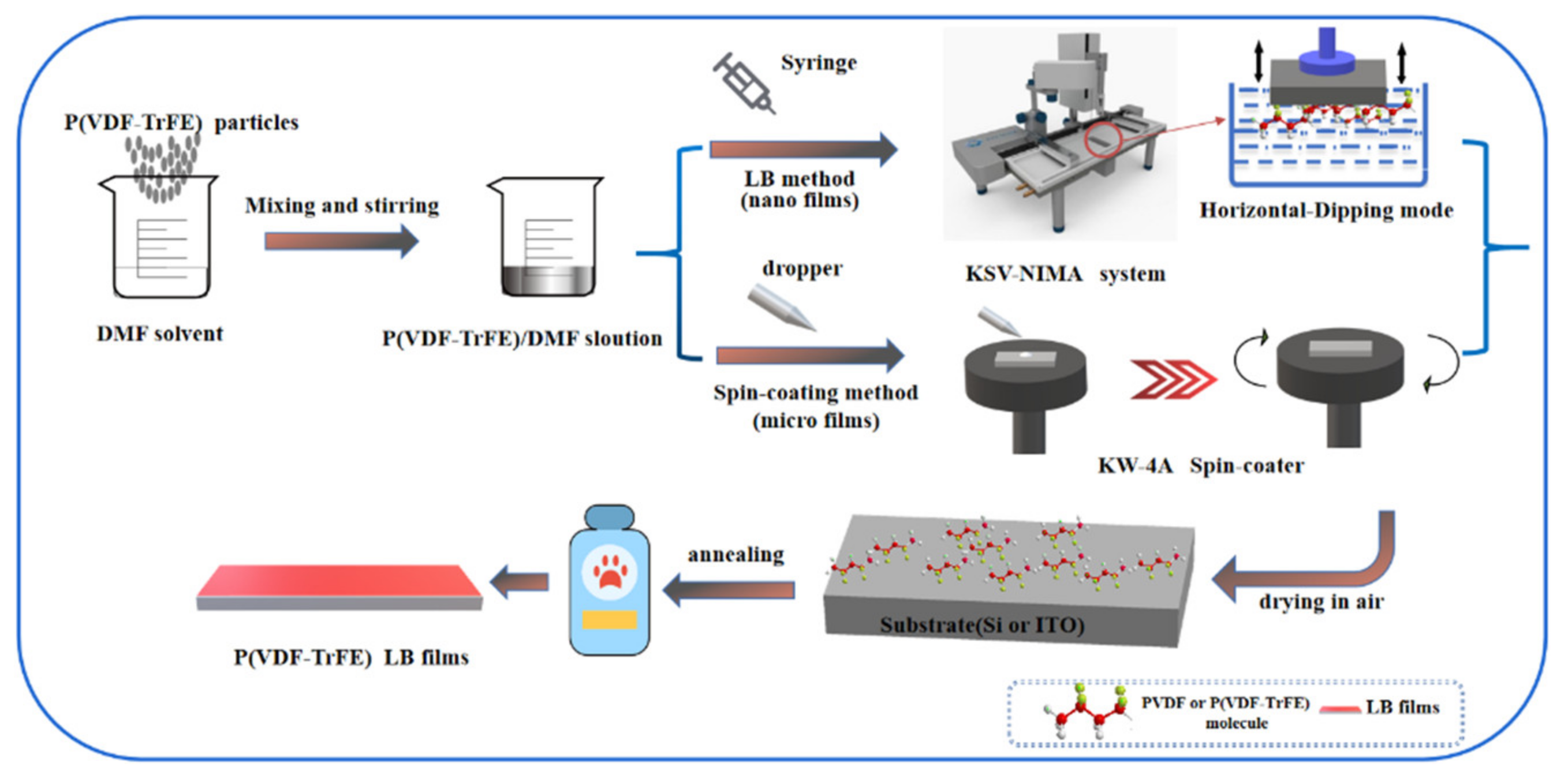 Nanomaterials 12 00588 g001