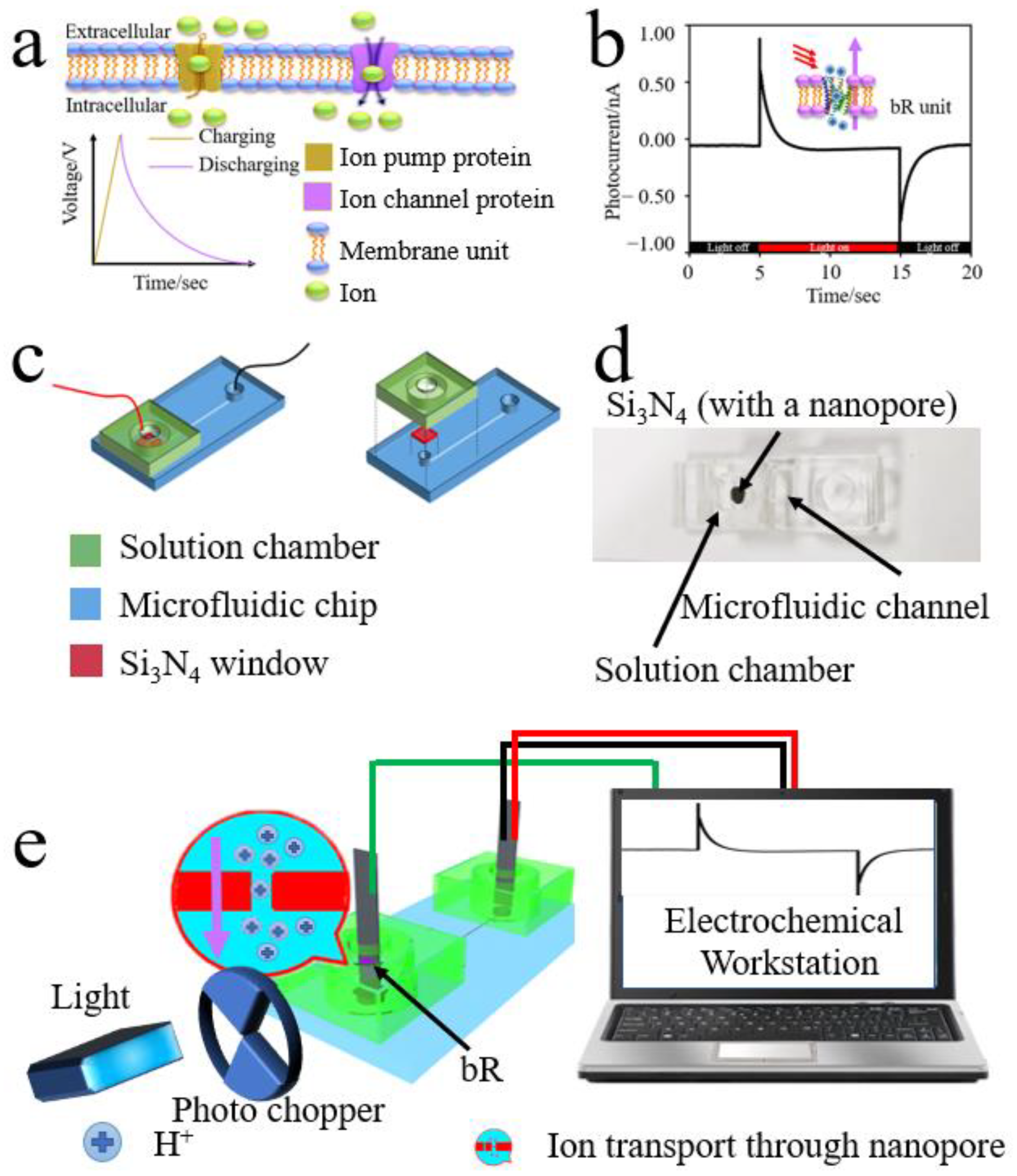 Nanomaterials 12 00592 g001 Nanomaterials 12 00592 g001