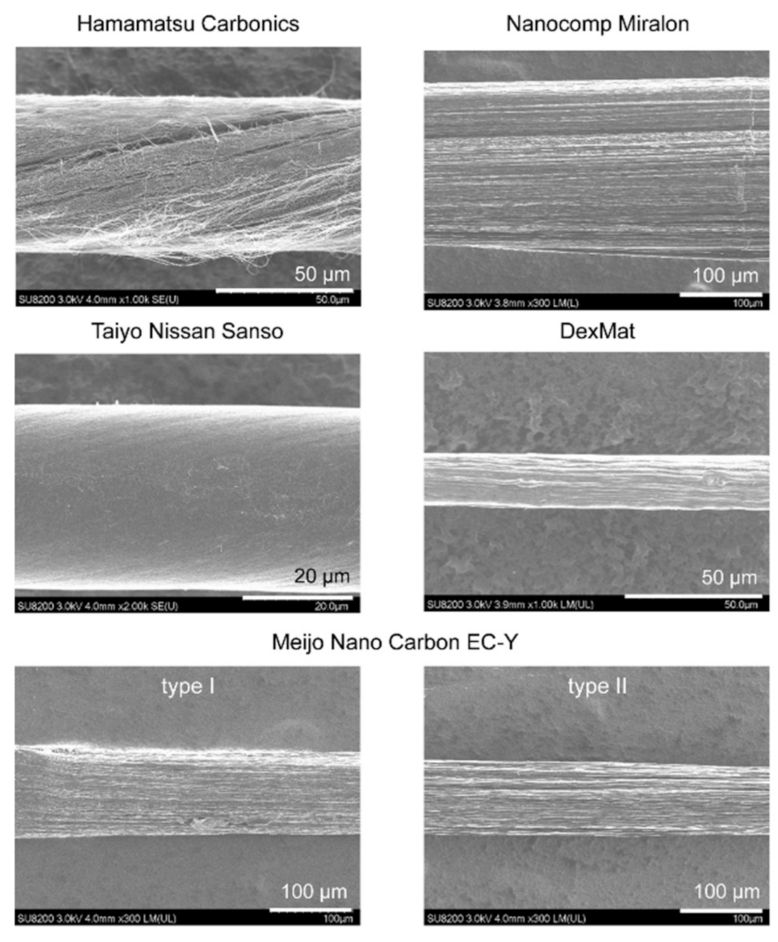 Nanomaterials 12 00593 g001