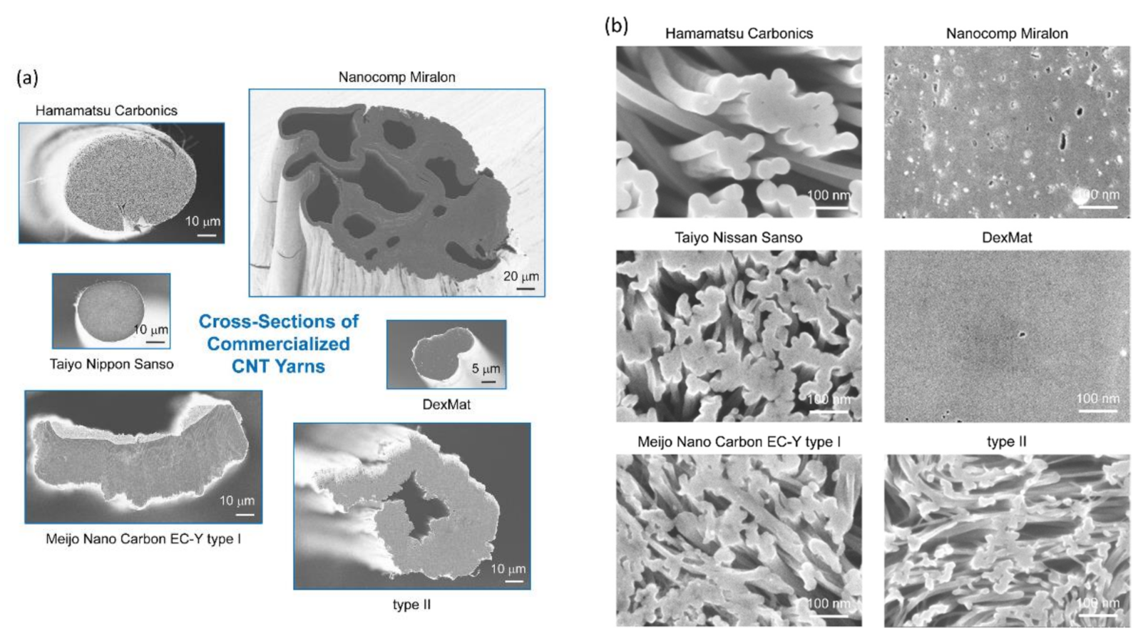 Nanomaterials 12 00593 g002