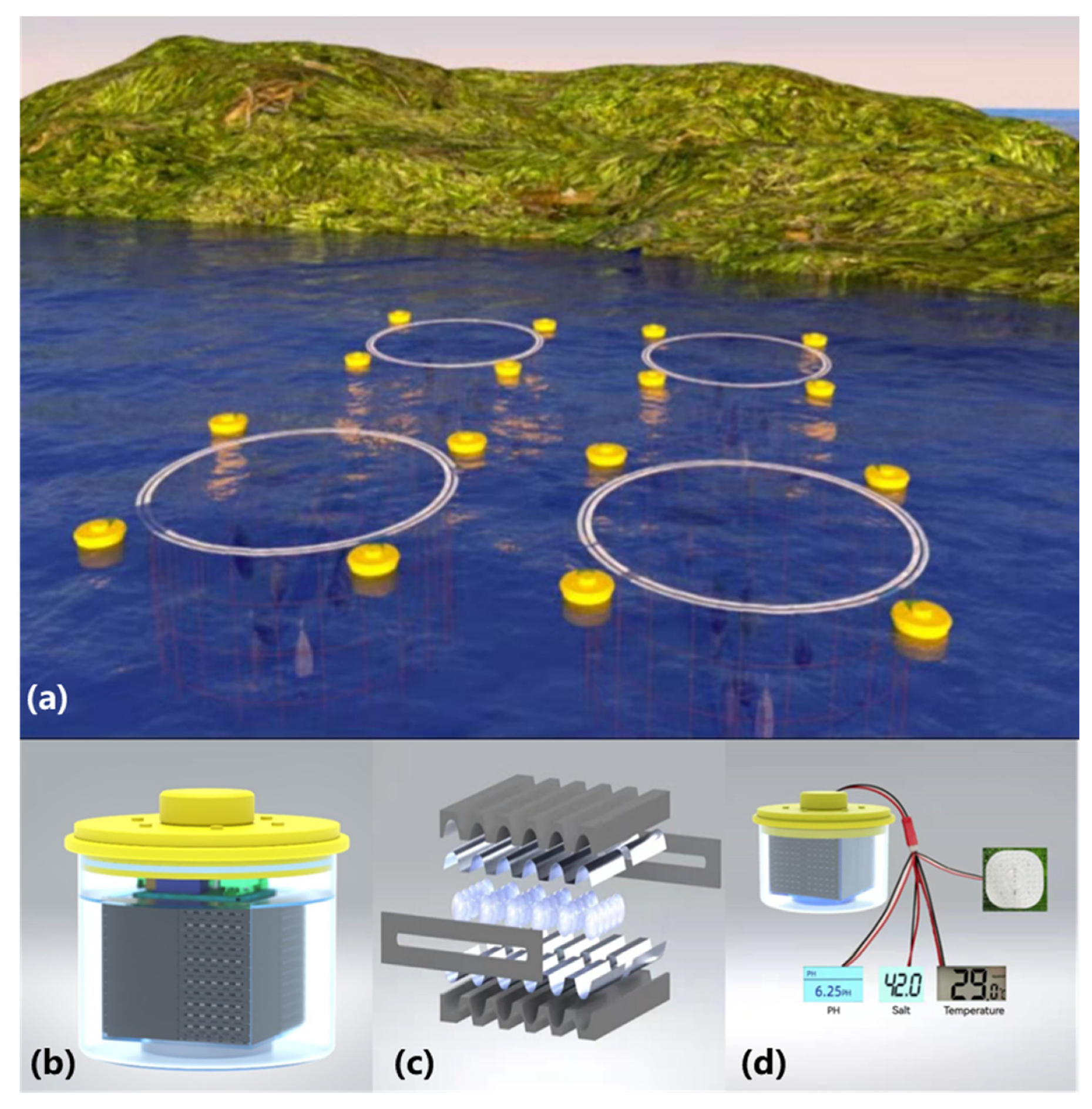 Nanomaterials 12 00594 g001