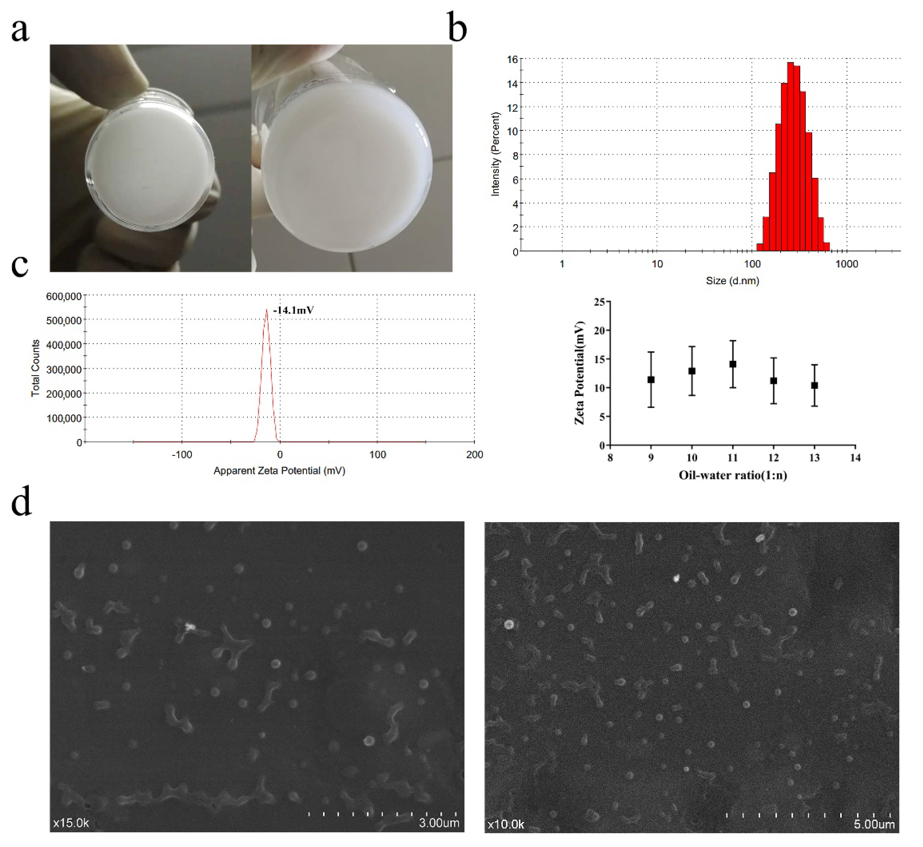 Nanomaterials 12 00595 g002