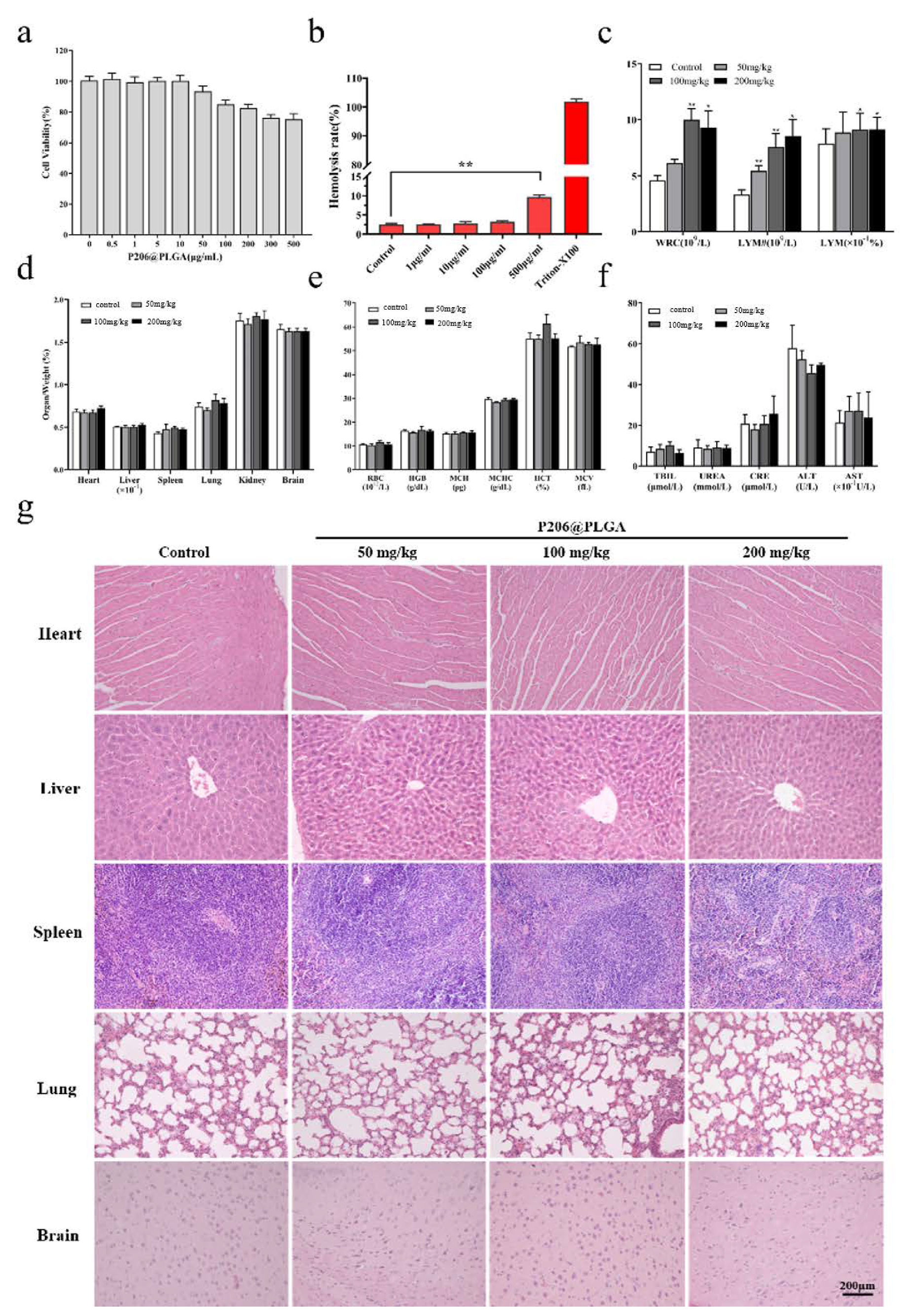 Nanomaterials 12 00595 g003