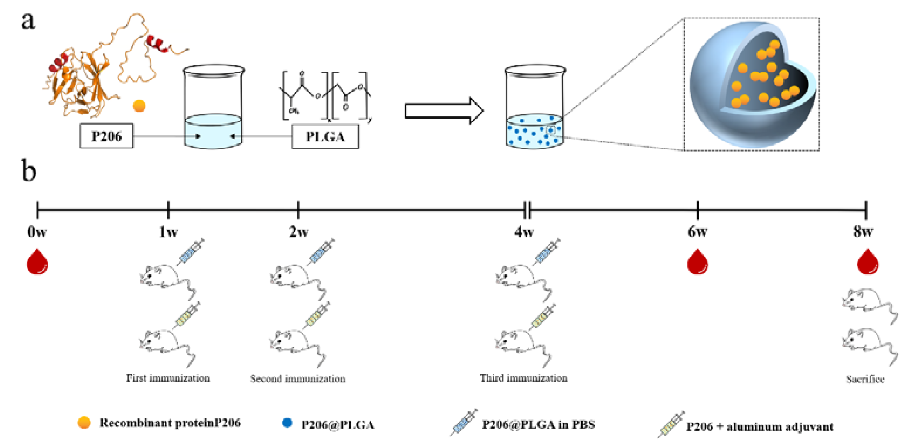 Nanomaterials 12 00595 sch001