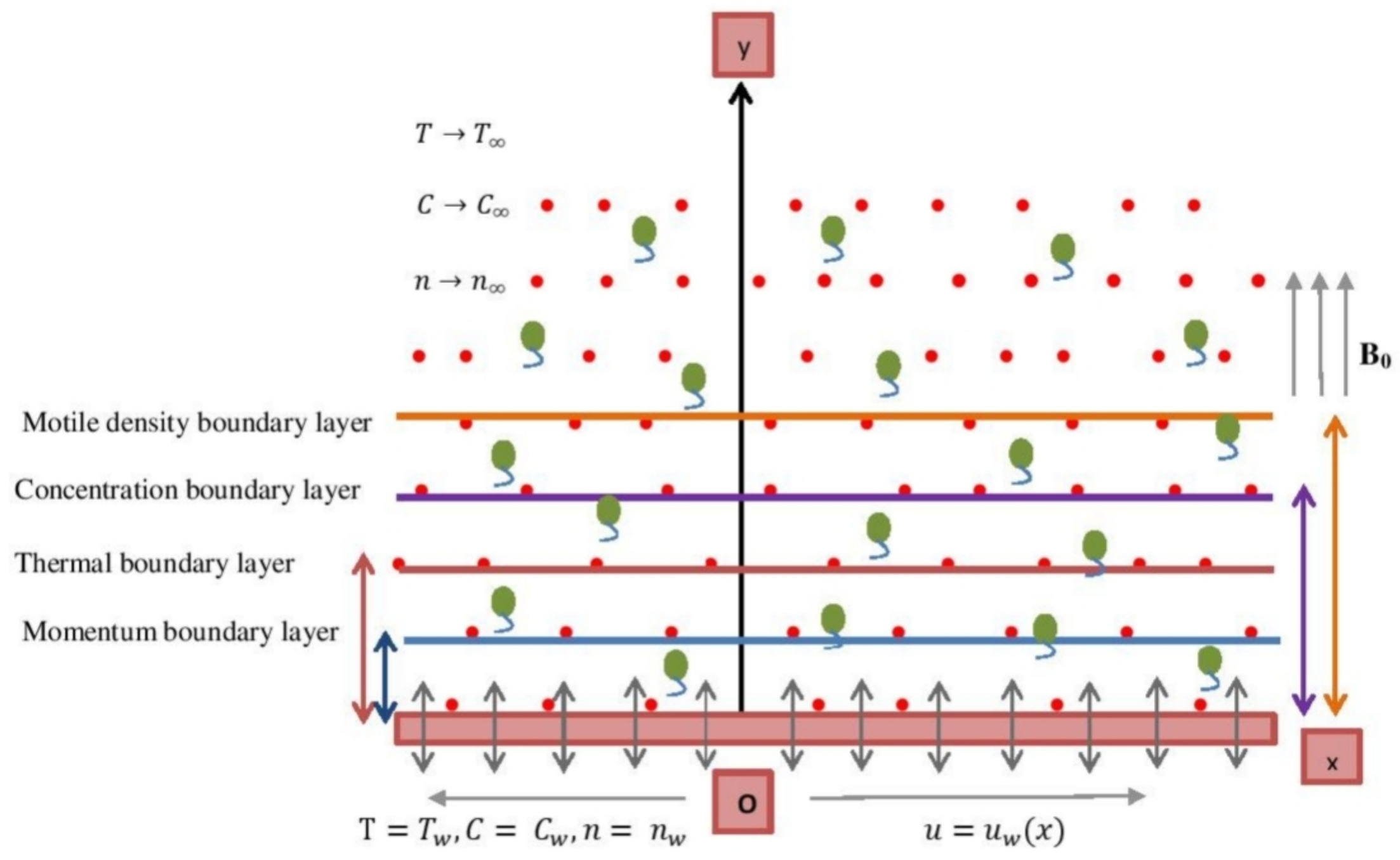 Nanomaterials 12 00599 g001