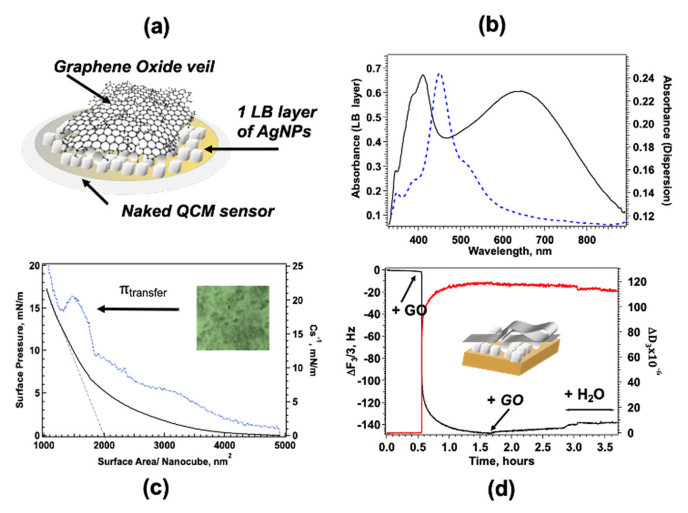 Nanomaterials 12 00600 g001
