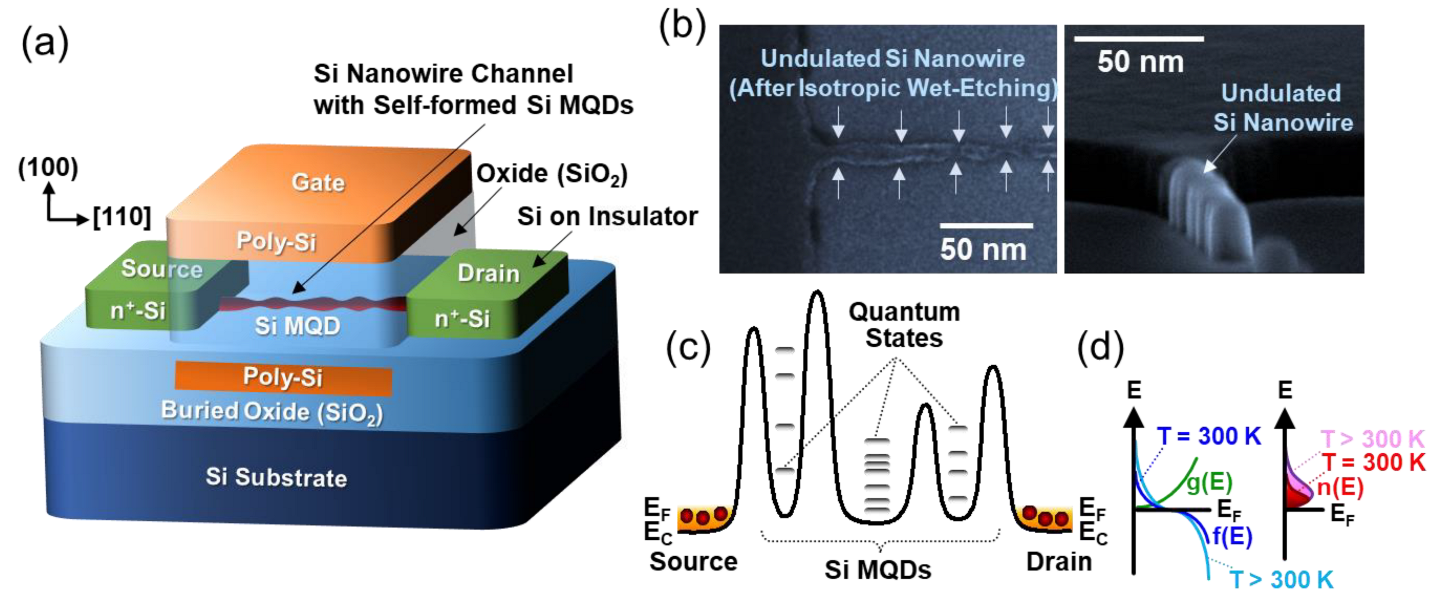 Nanomaterials 12 00603 g001 550