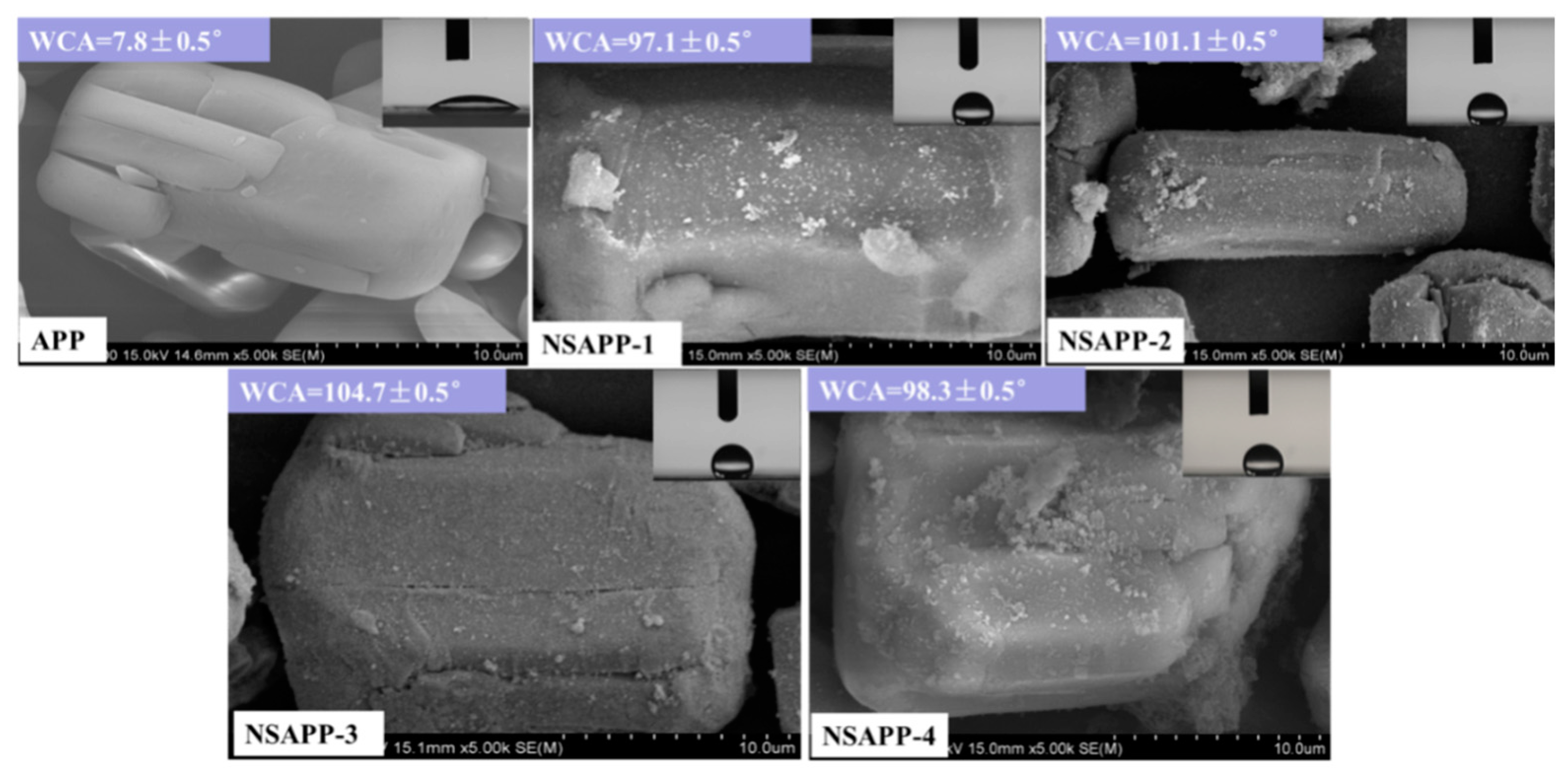 Nanomaterials 12 00606 g003